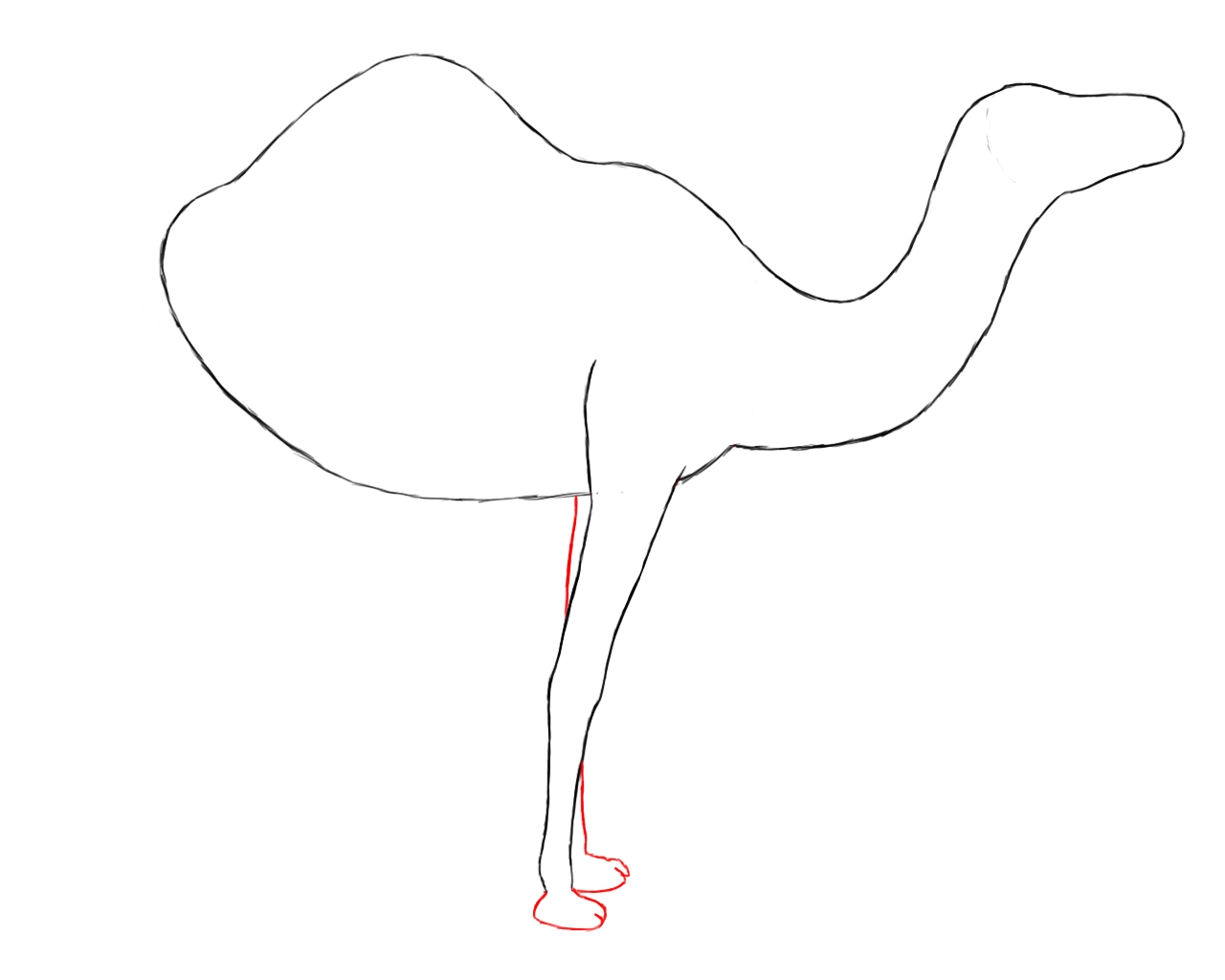Рисуем верблюда поэтапно для детей