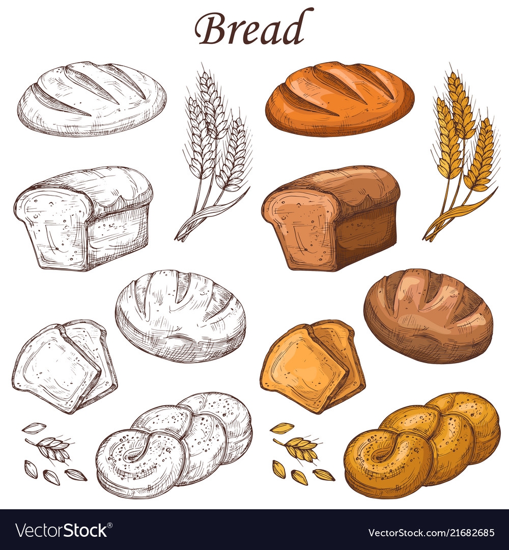 Ингредиенты для хлеба рисунок для детей