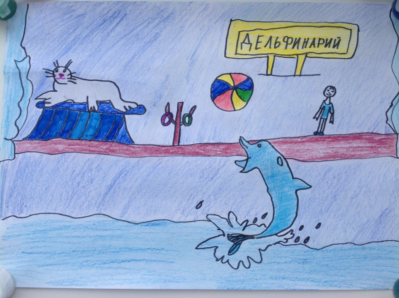 Рисунок на тему в дельфинарии