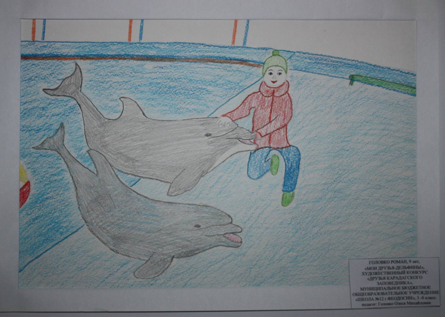 Дельфинарий рисунок