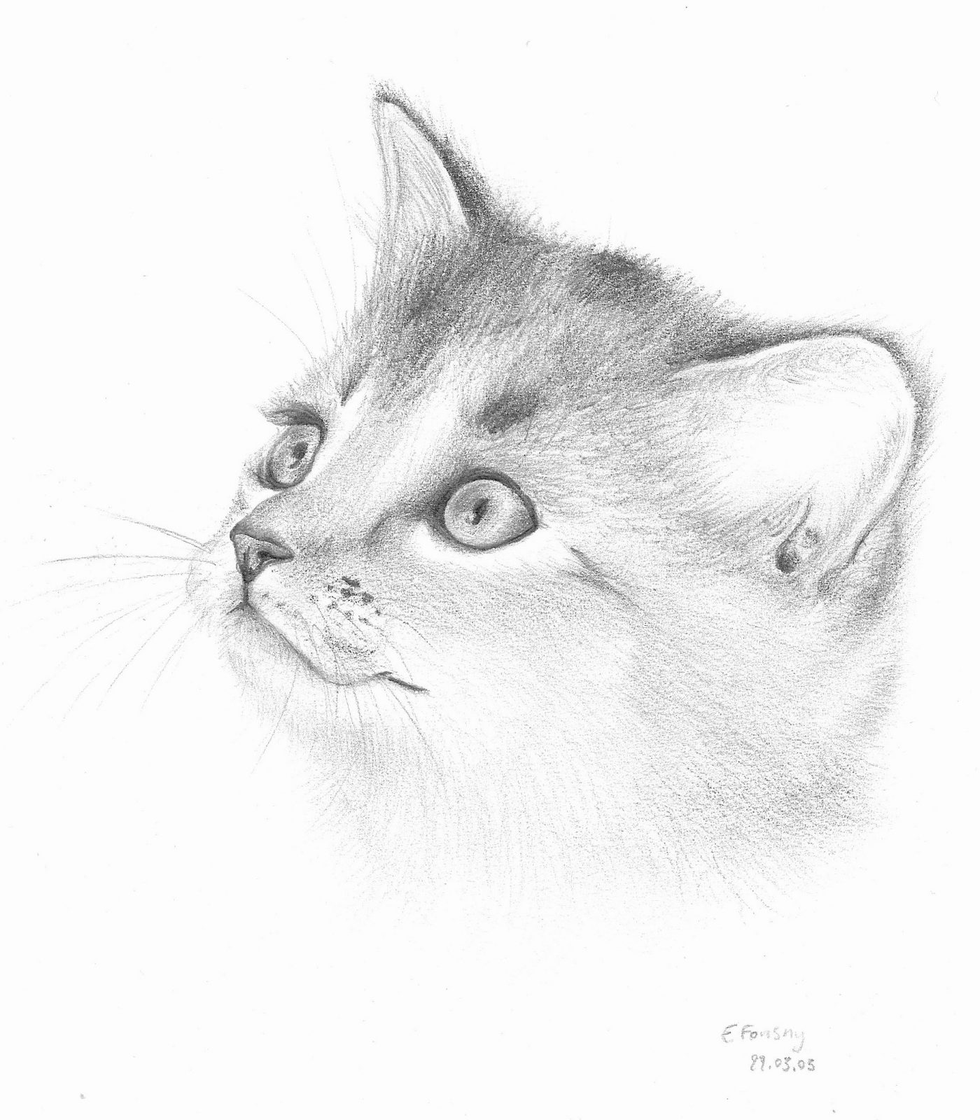 Рисунок котенка карандашом в альбоме