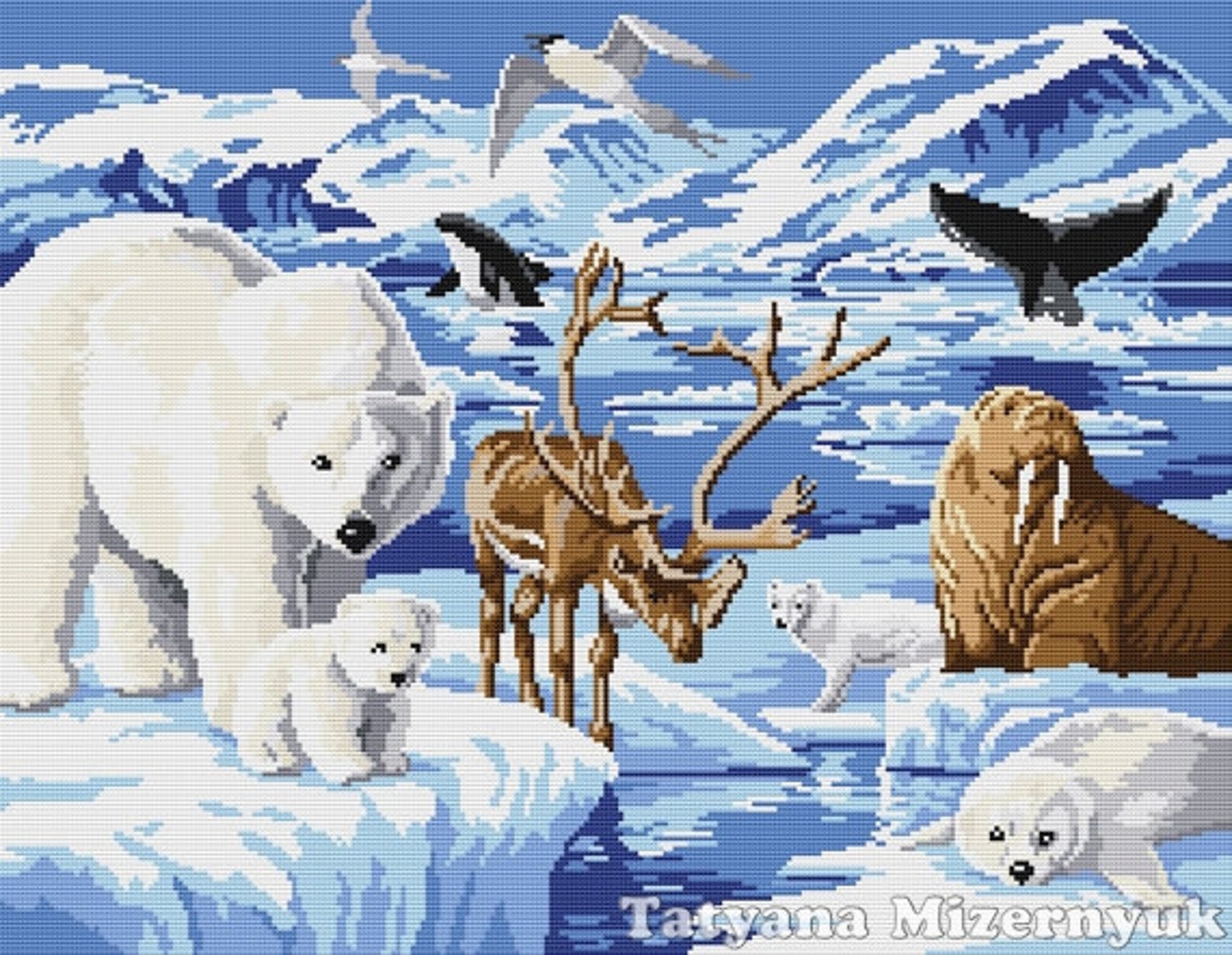 Северный полюс Арктика животные