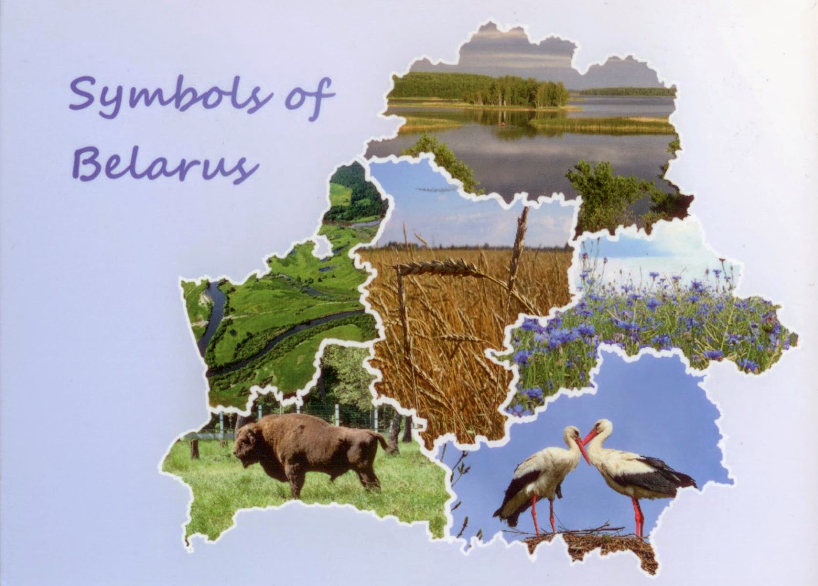 Природные символы Беларуси
