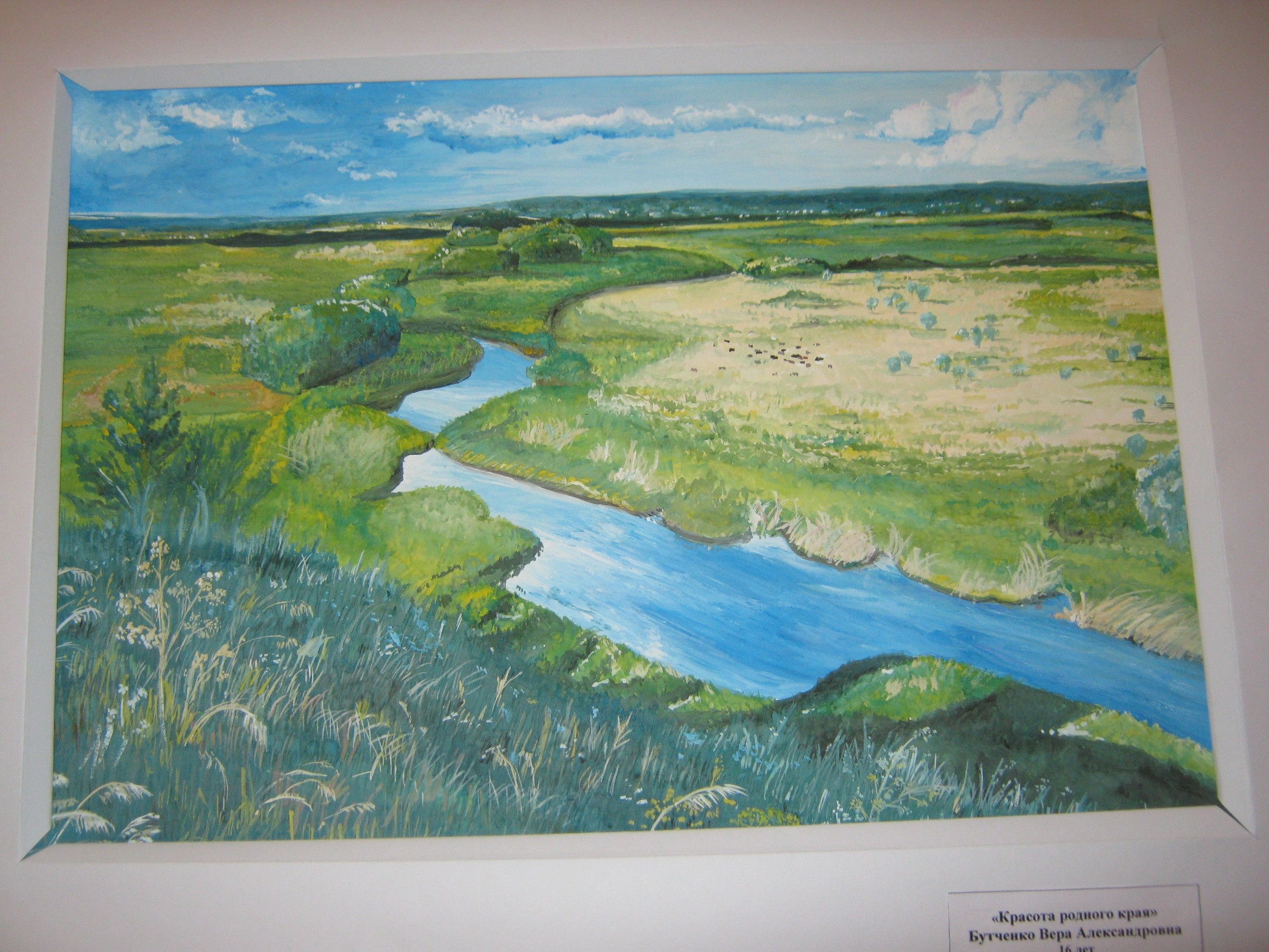 Природа Оренбургского края рисунок
