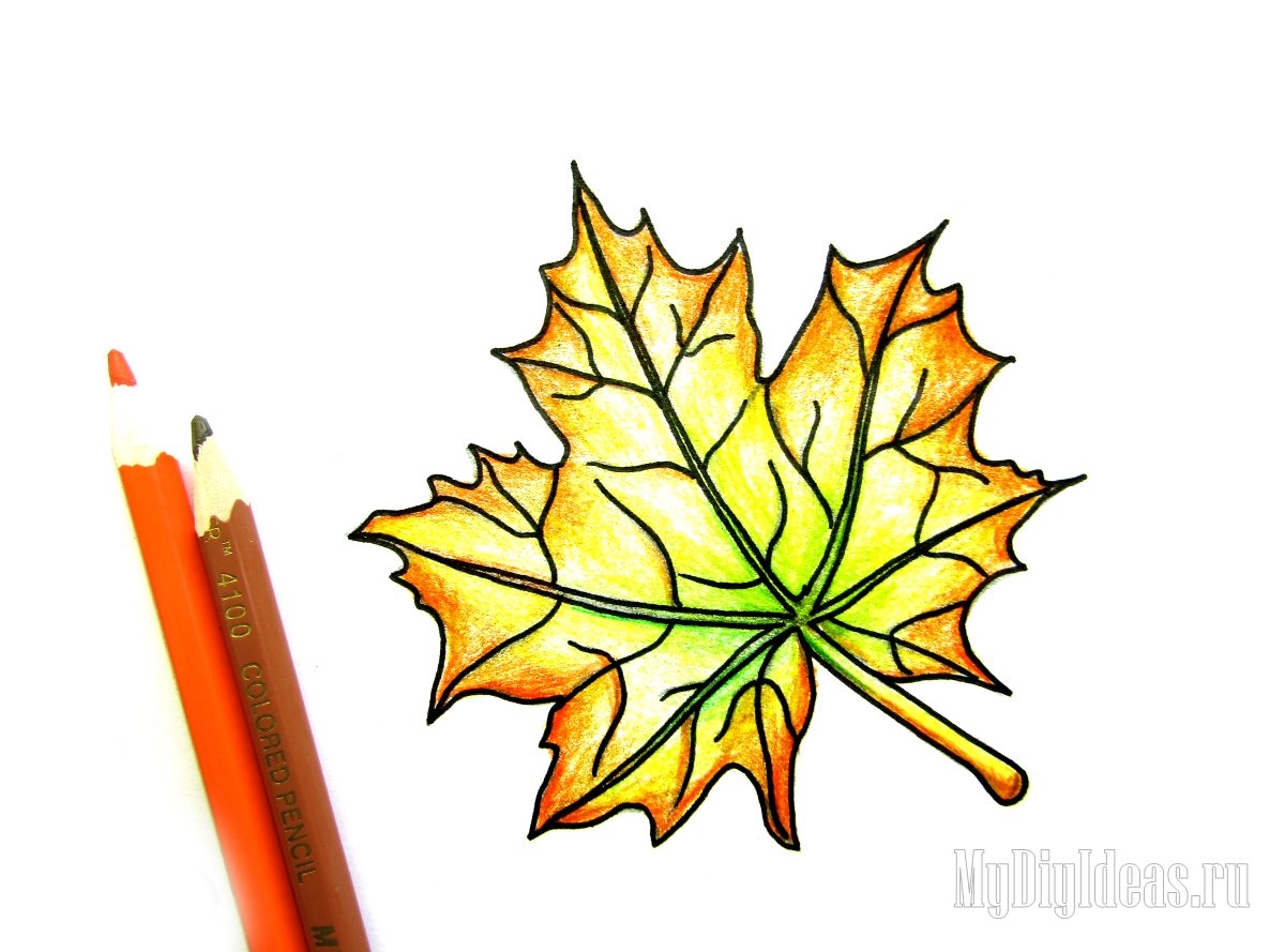 Осенний кленовый листик рисование