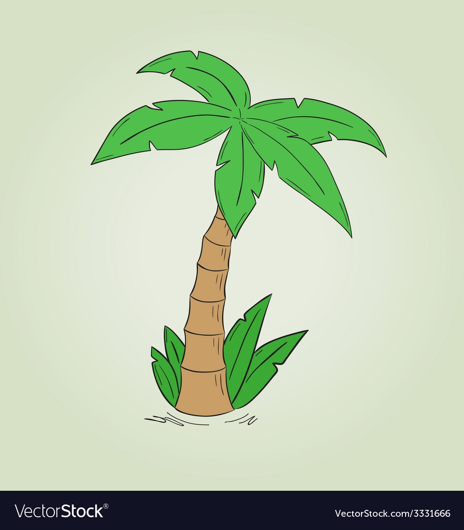 Рисунок пальмы для срисовки