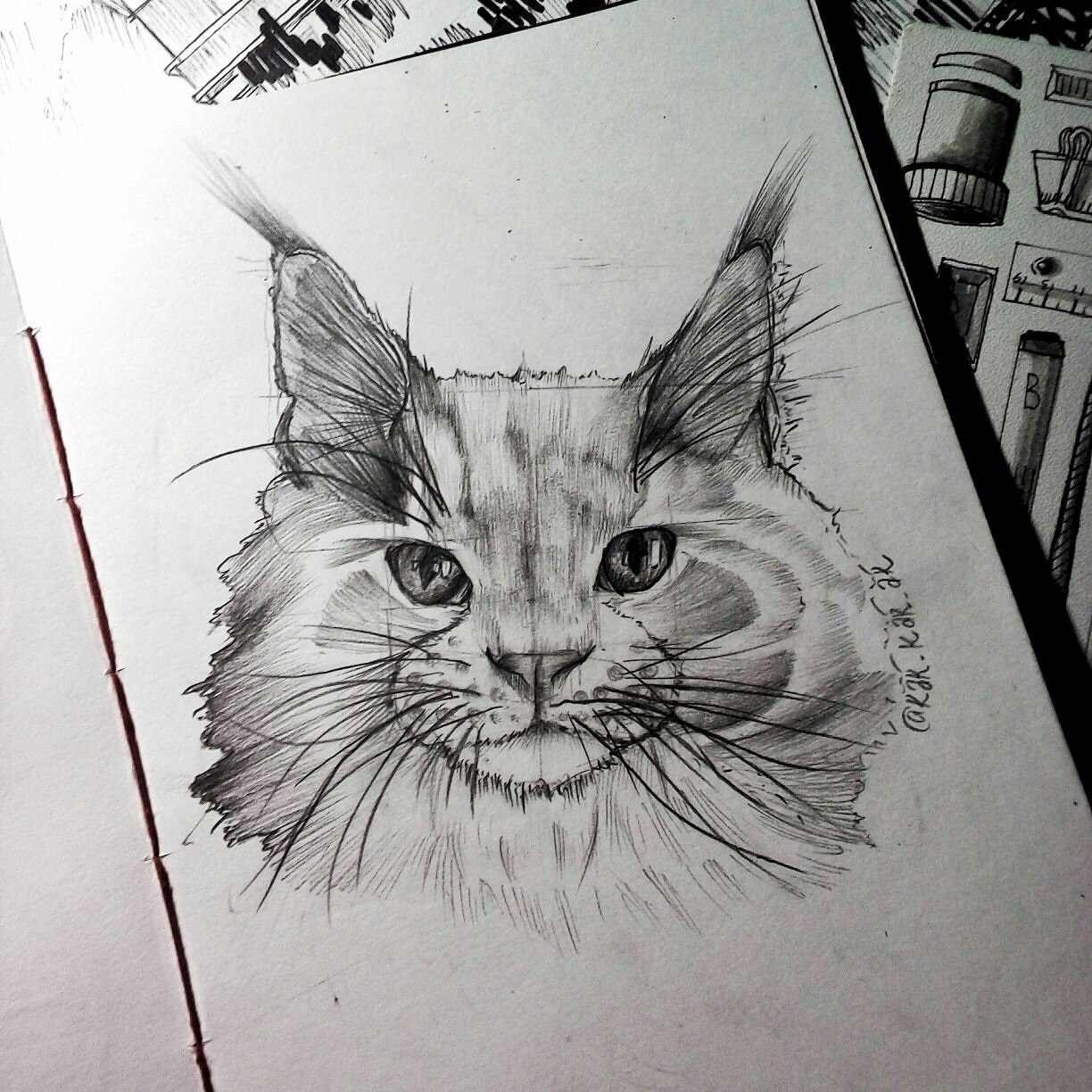 Котики арт карандашом