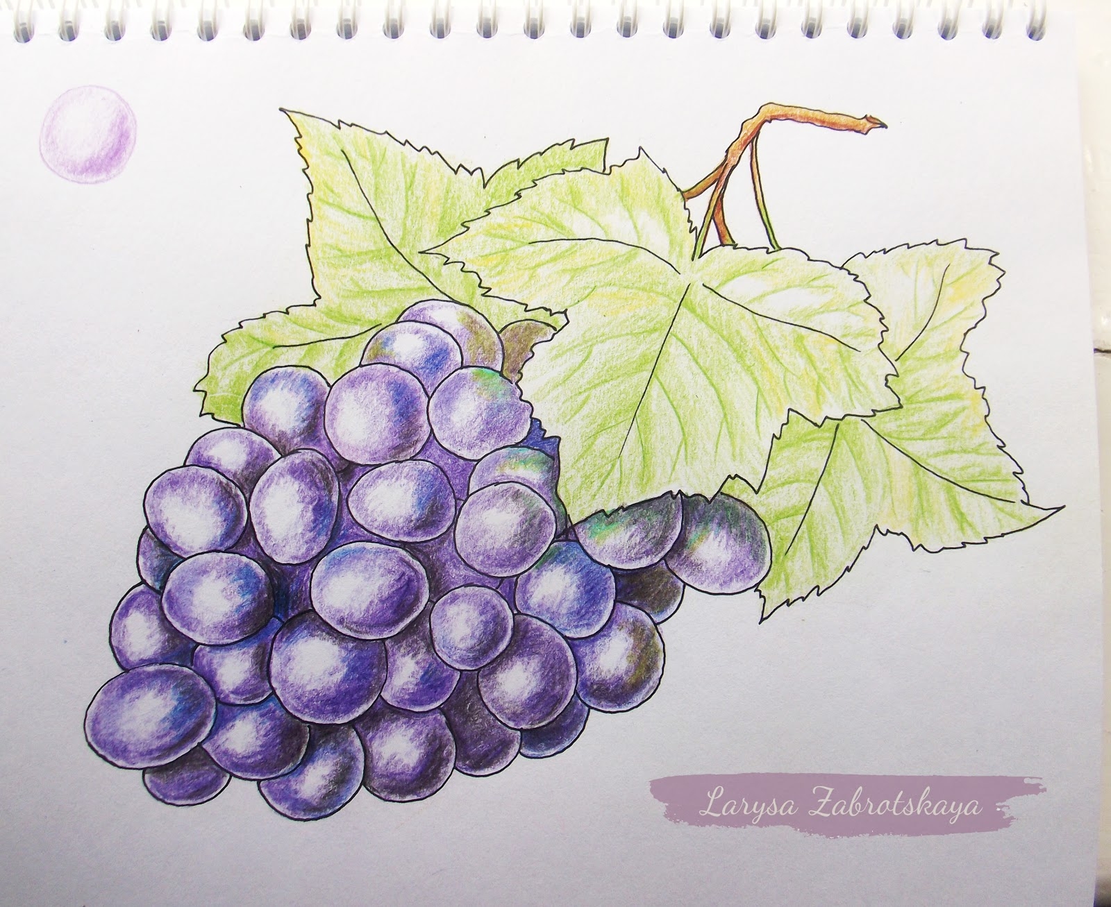 Кисть винограда рисунок