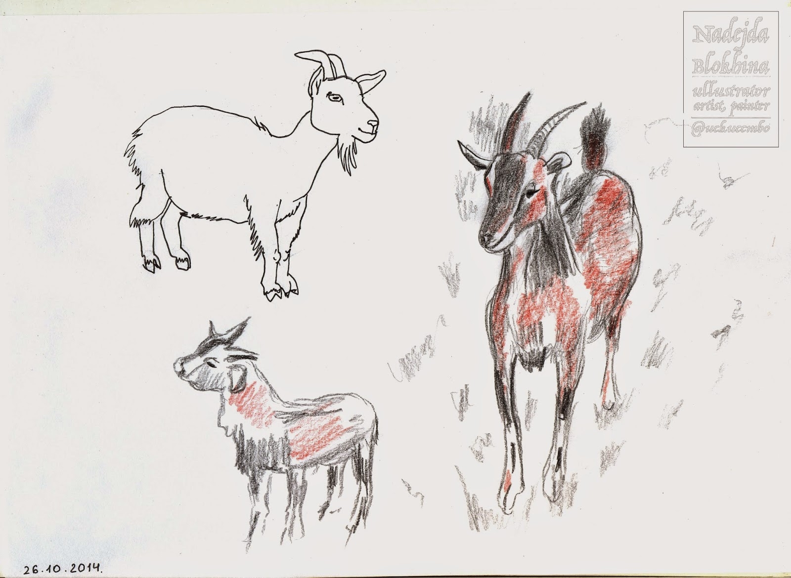 Зарисовать шерсть козы