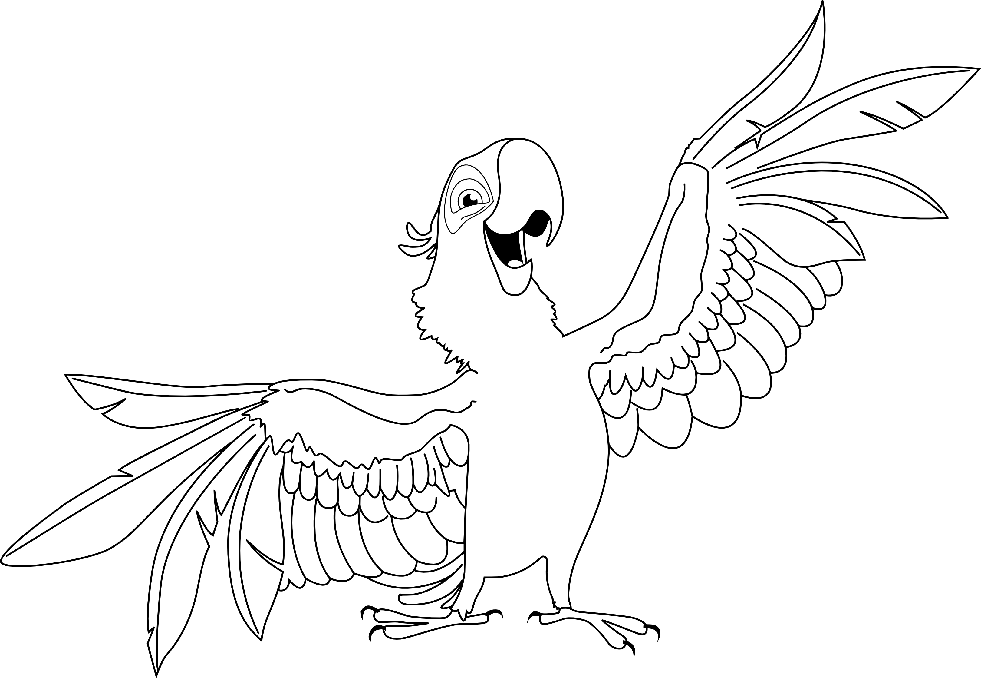 Контурные рисунки с попугаями
