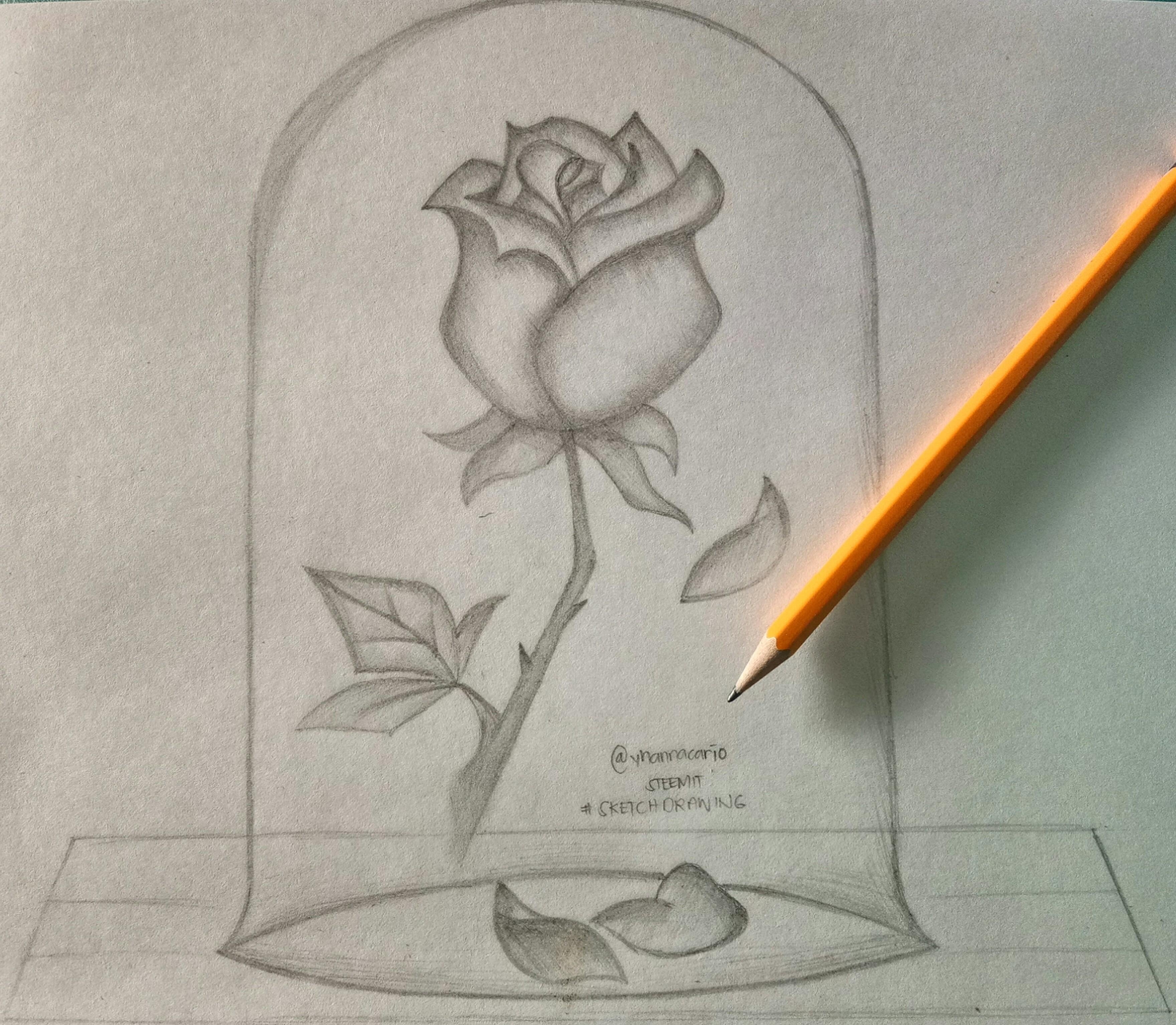 Рисунок роза в банке легко