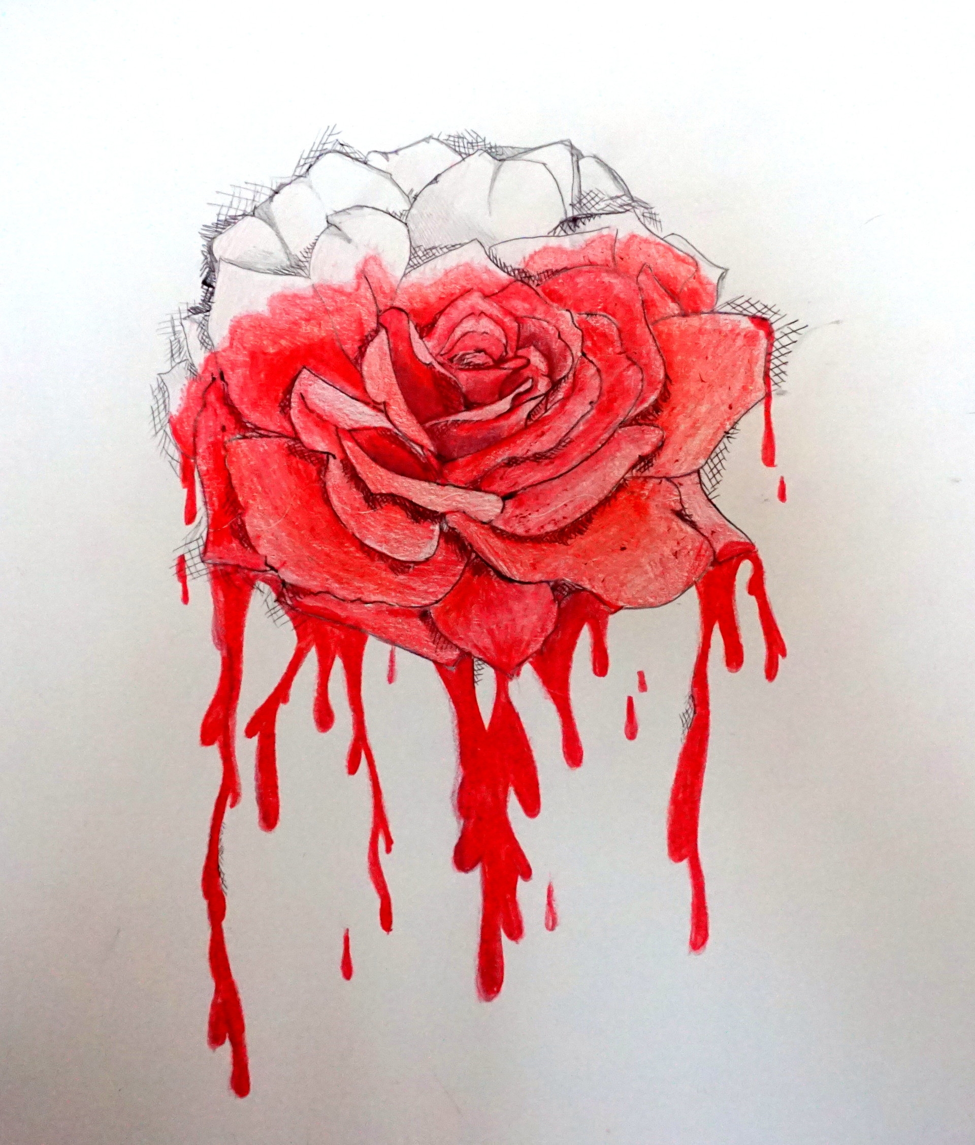 Нарисовать кровавую розу