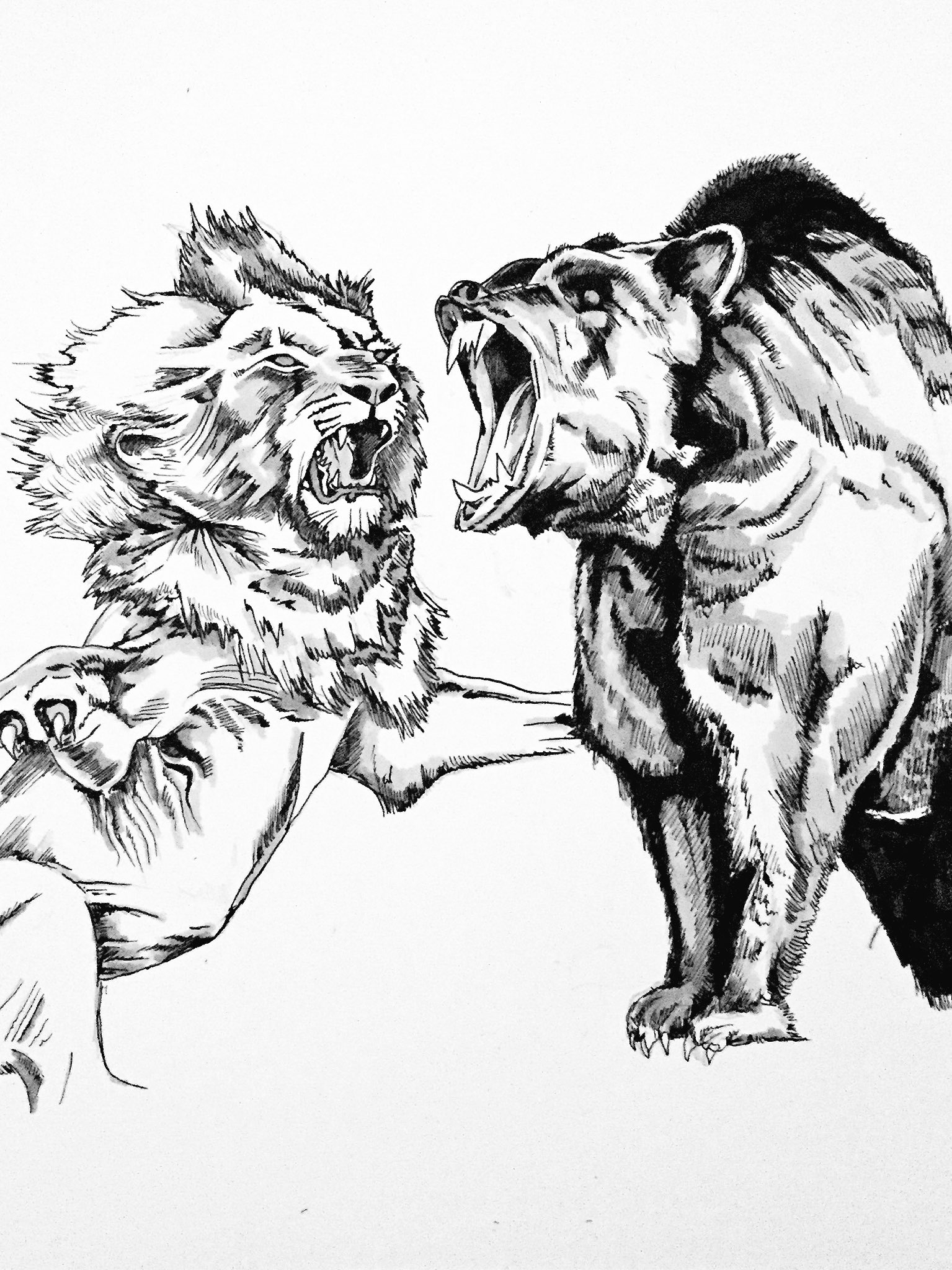 Саблезубый тигр против Льва