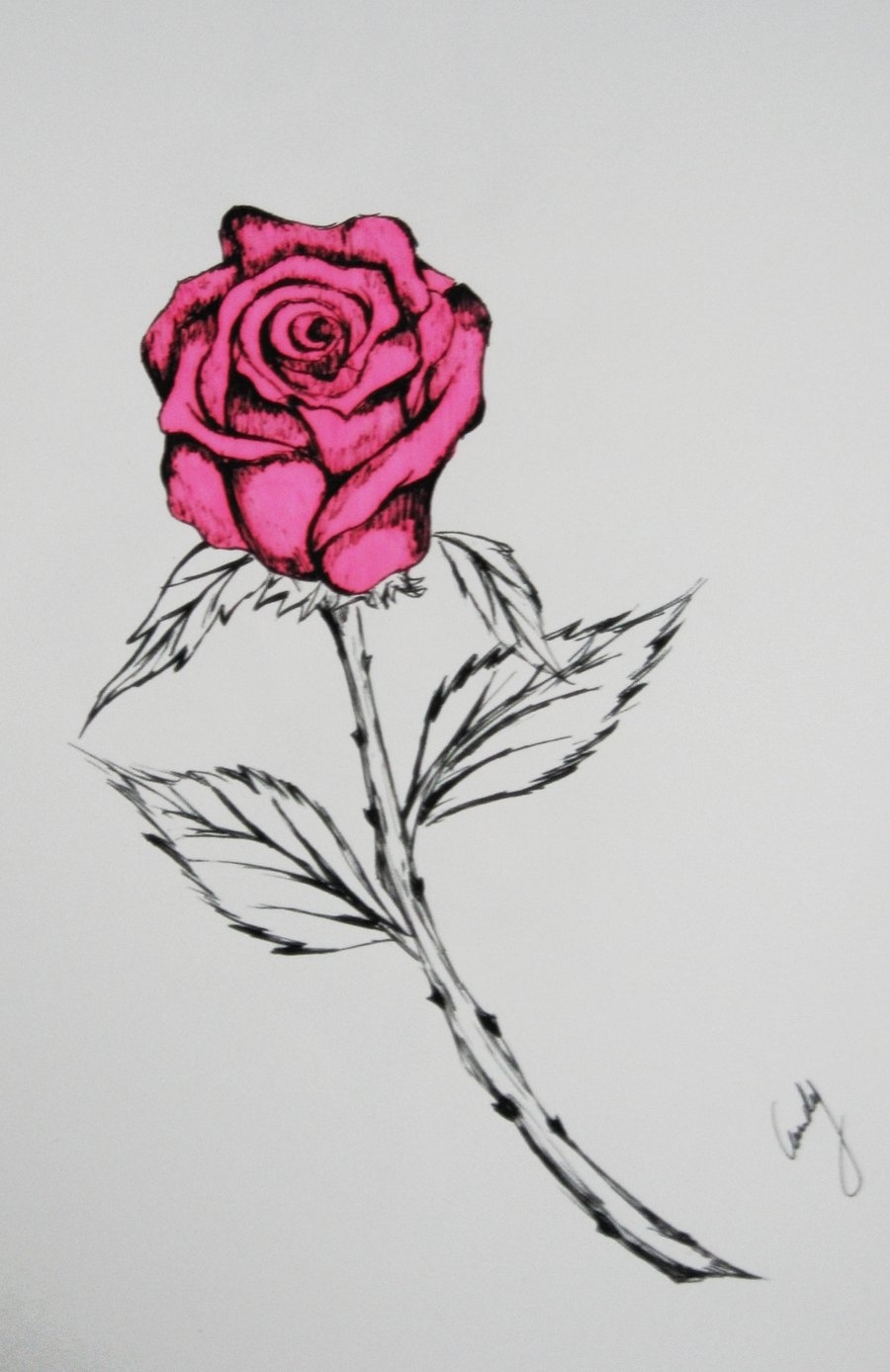 Розы для срисовки черной ручкой