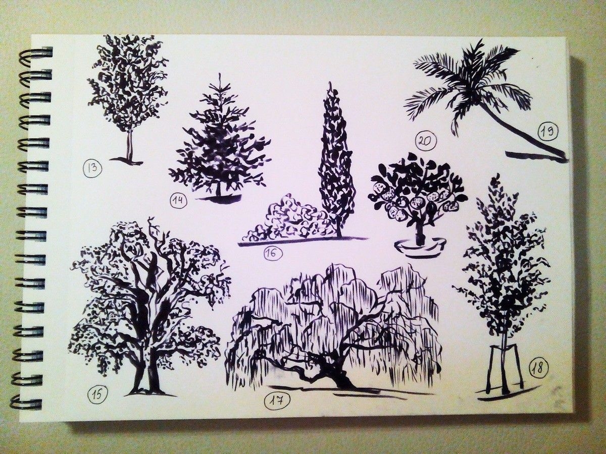 Стилизованное изображение деревьев и кустарников