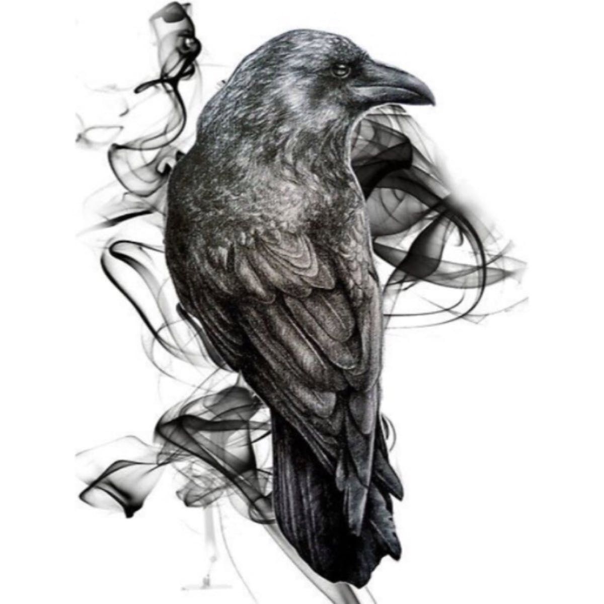 Голова ворона рисунок эскиз