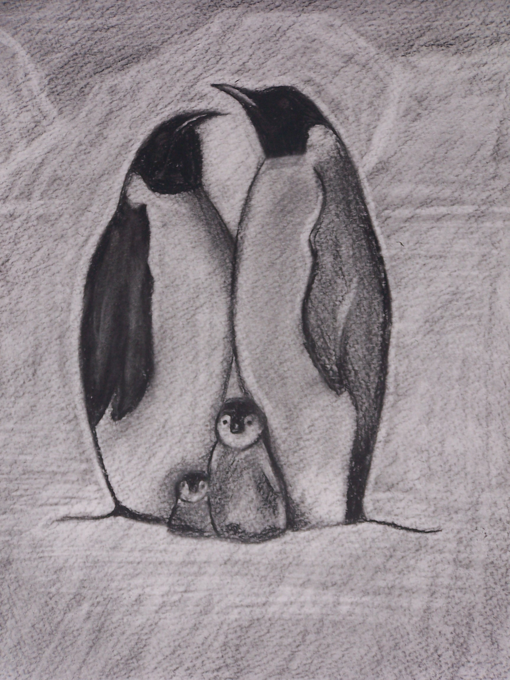 Нарисовать пингвина карандашом