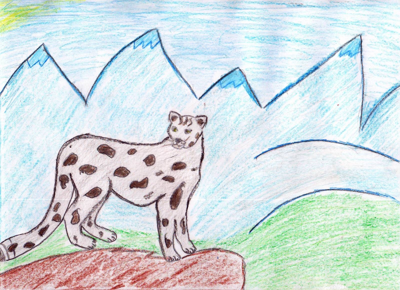 Снежный Барс рисунки для детей 10 лет легкие