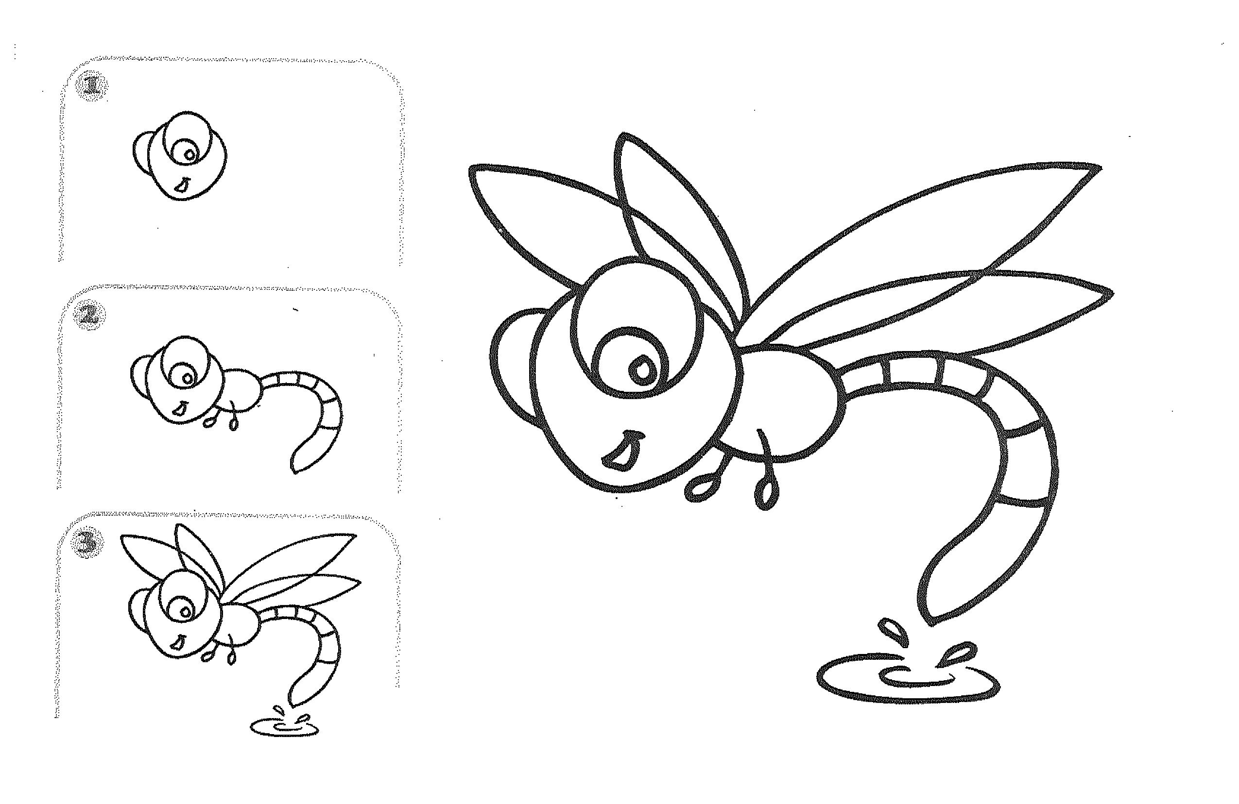 Забавные насекомые картинки для детей
