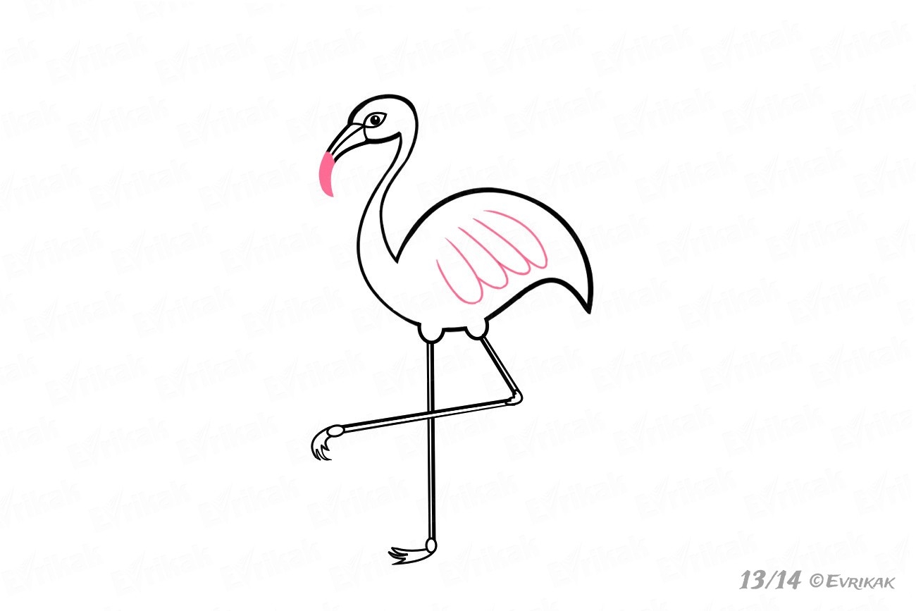 Поэтапное рисование Фламинго для детей