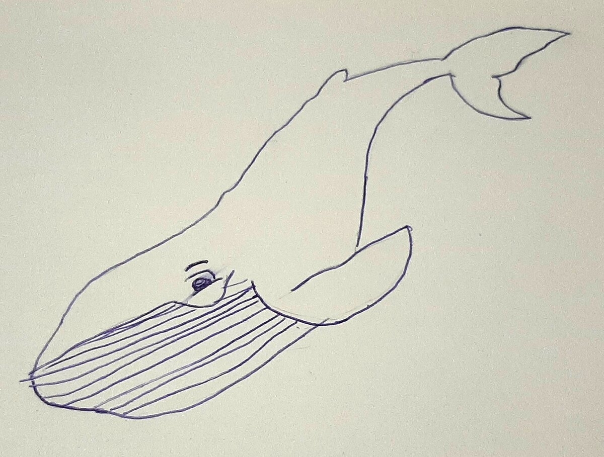 Нарисовать кита на бумаге