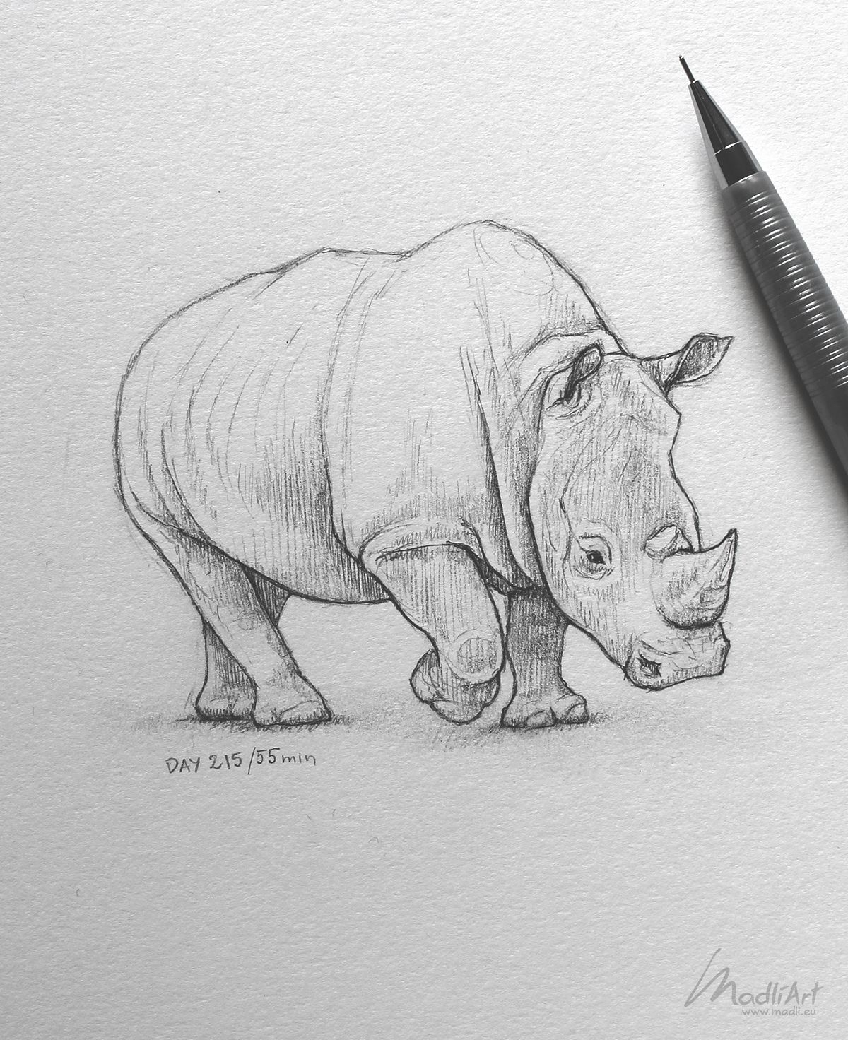 Эскиз носорога карандашом