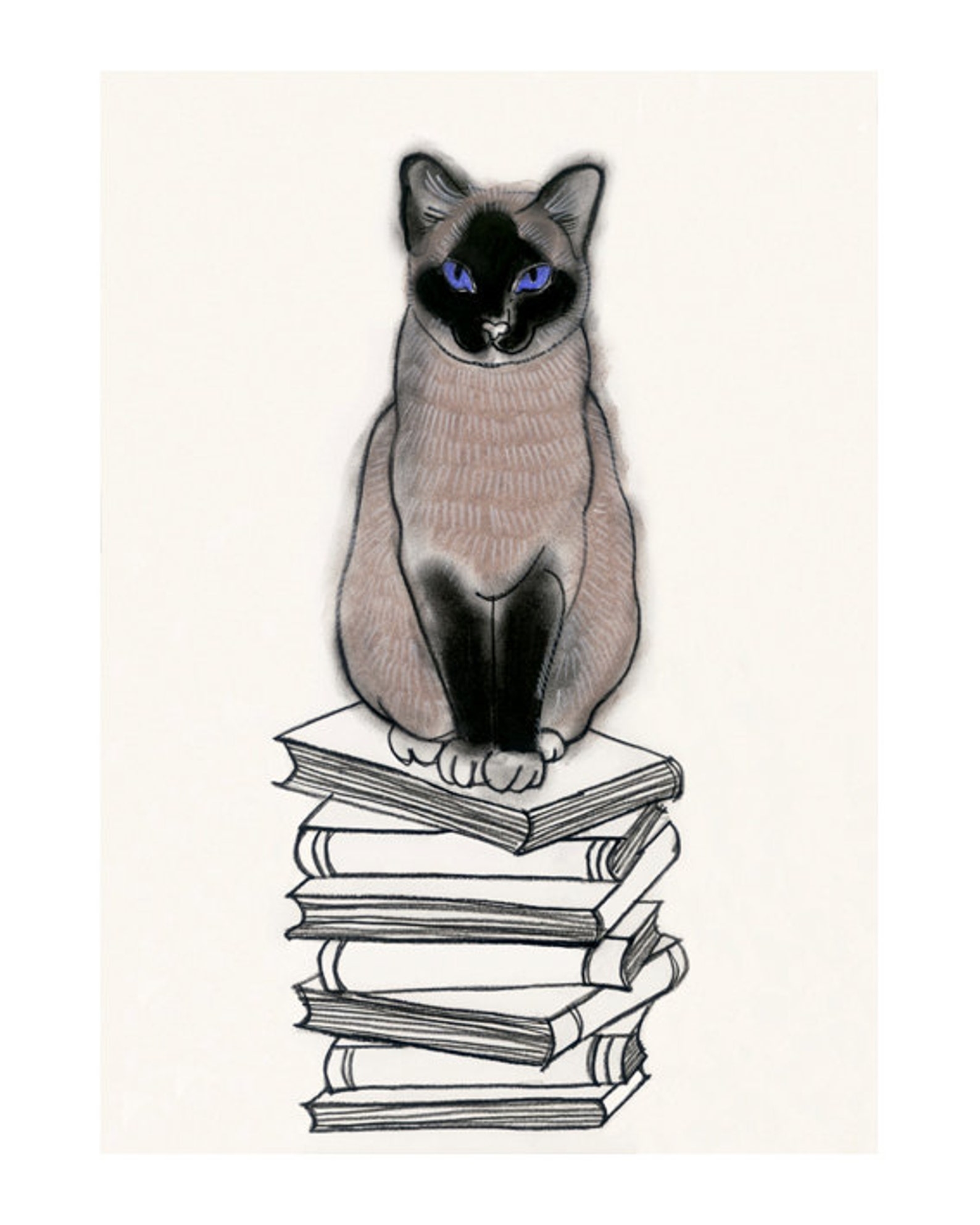 Красивая обложка книги рисунок карандашом с кошкой