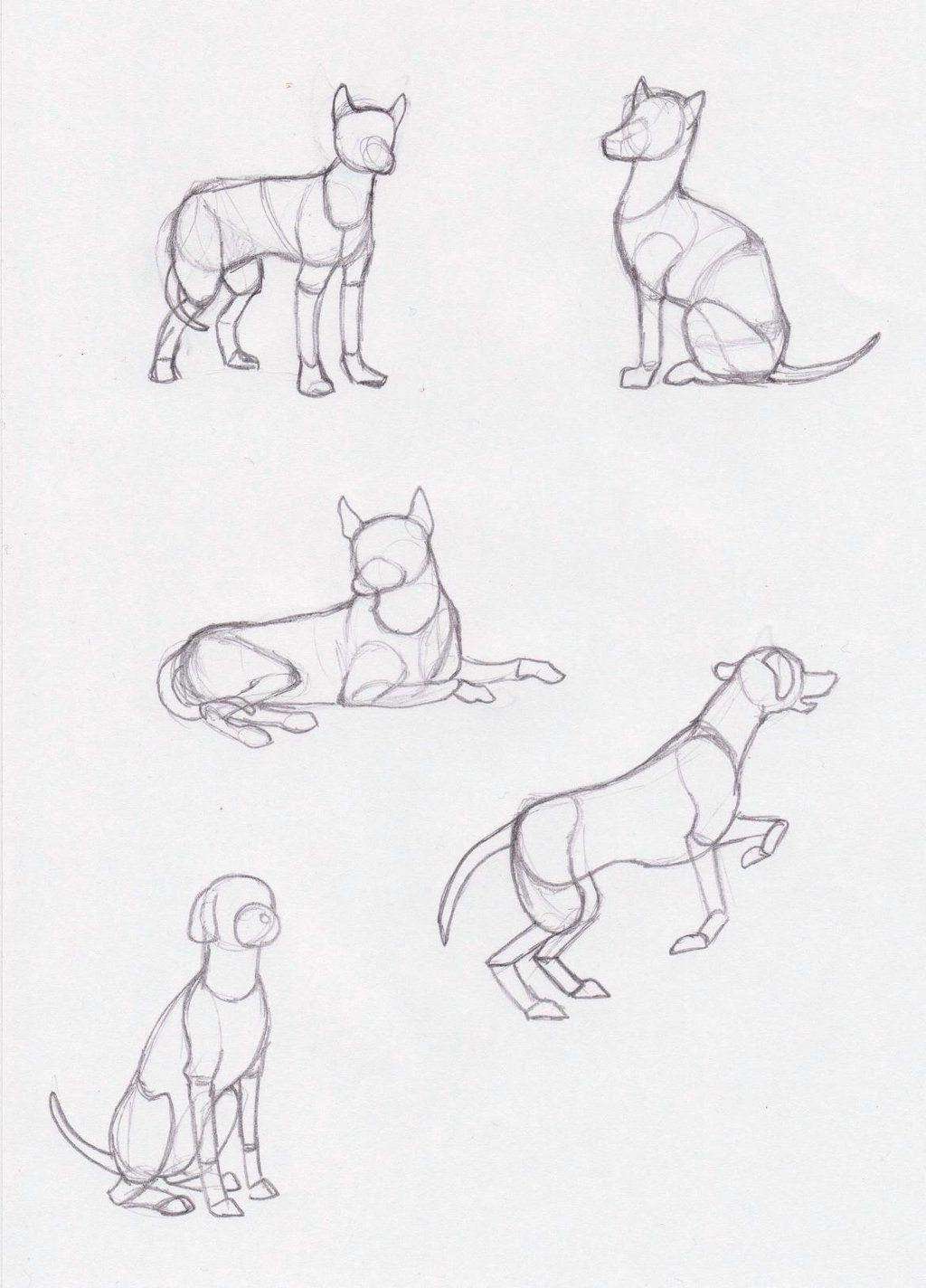 Собака рисунок карандашом для детей поэтапно