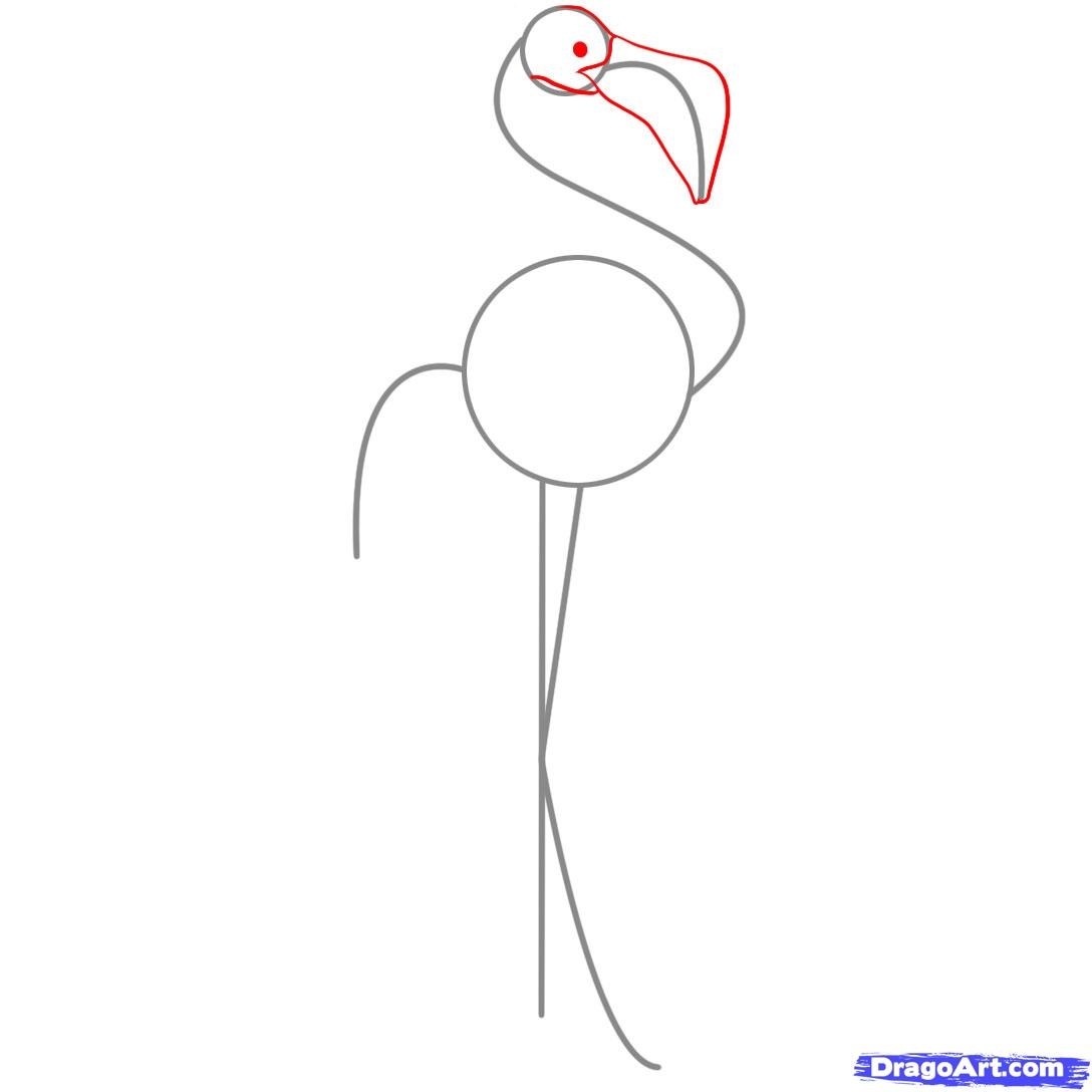 Рисунок Фламинго для детей 8 лет карандашом