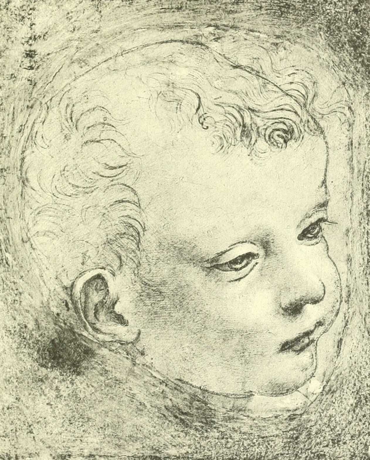 Графические портреты Леонардо да Винчи