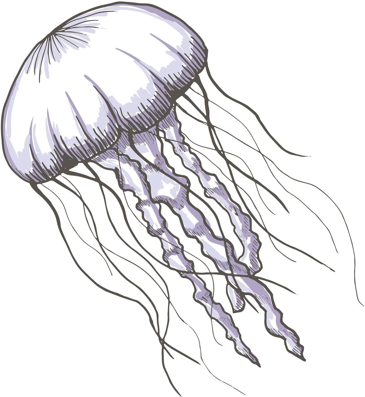 Медуза рисунок легкий
