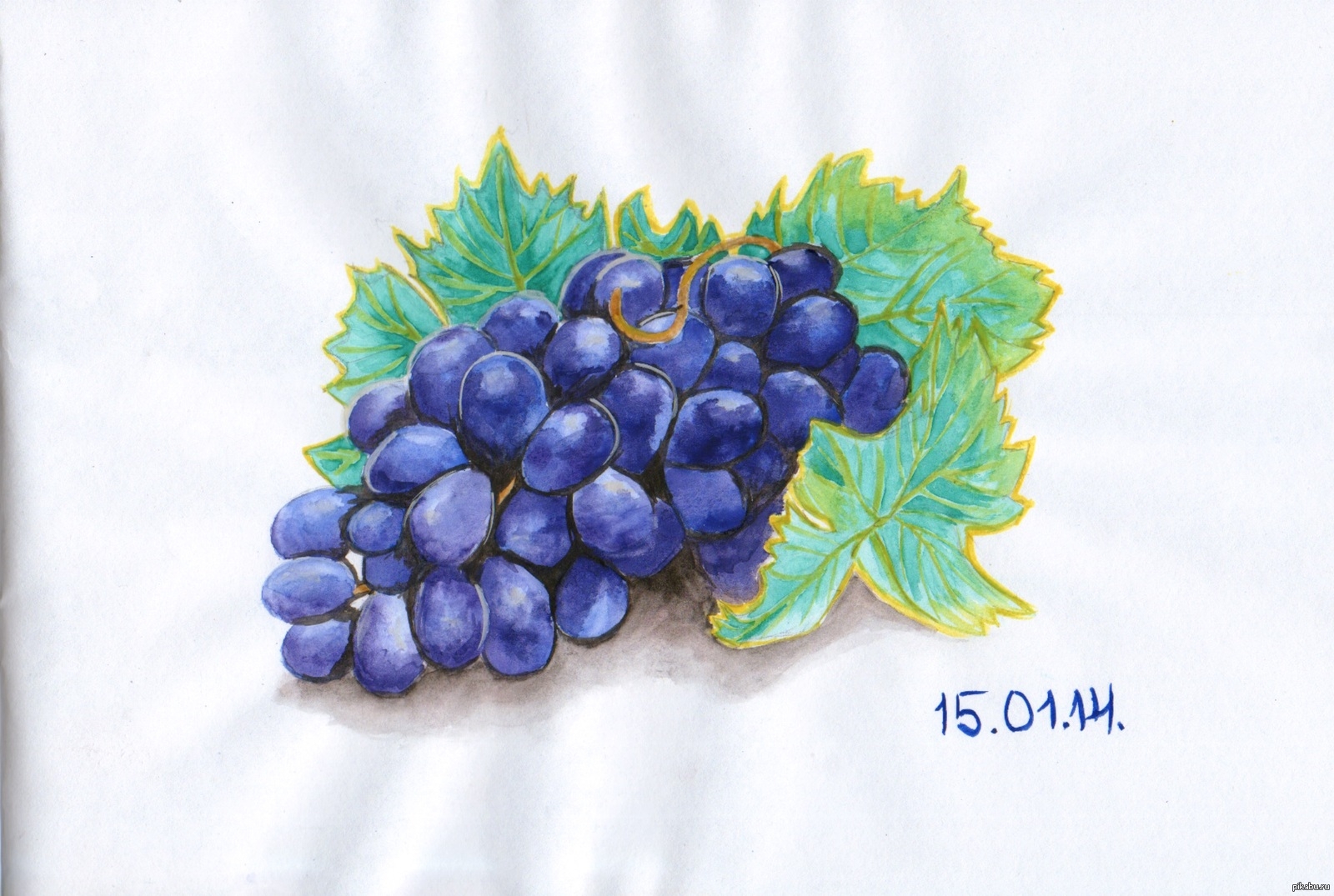 Нарисовать виноград