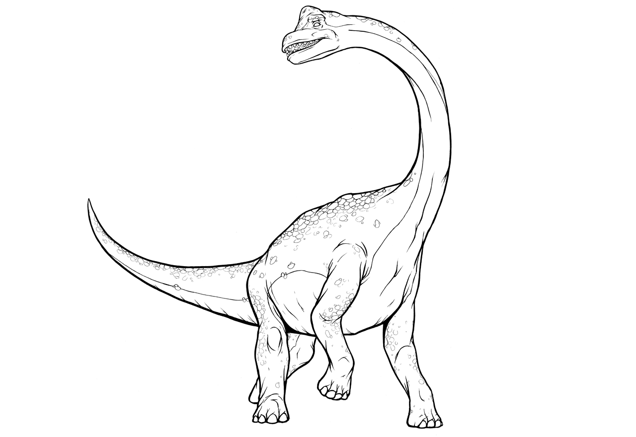 ТЕПЛОТОК раскраска динозавра