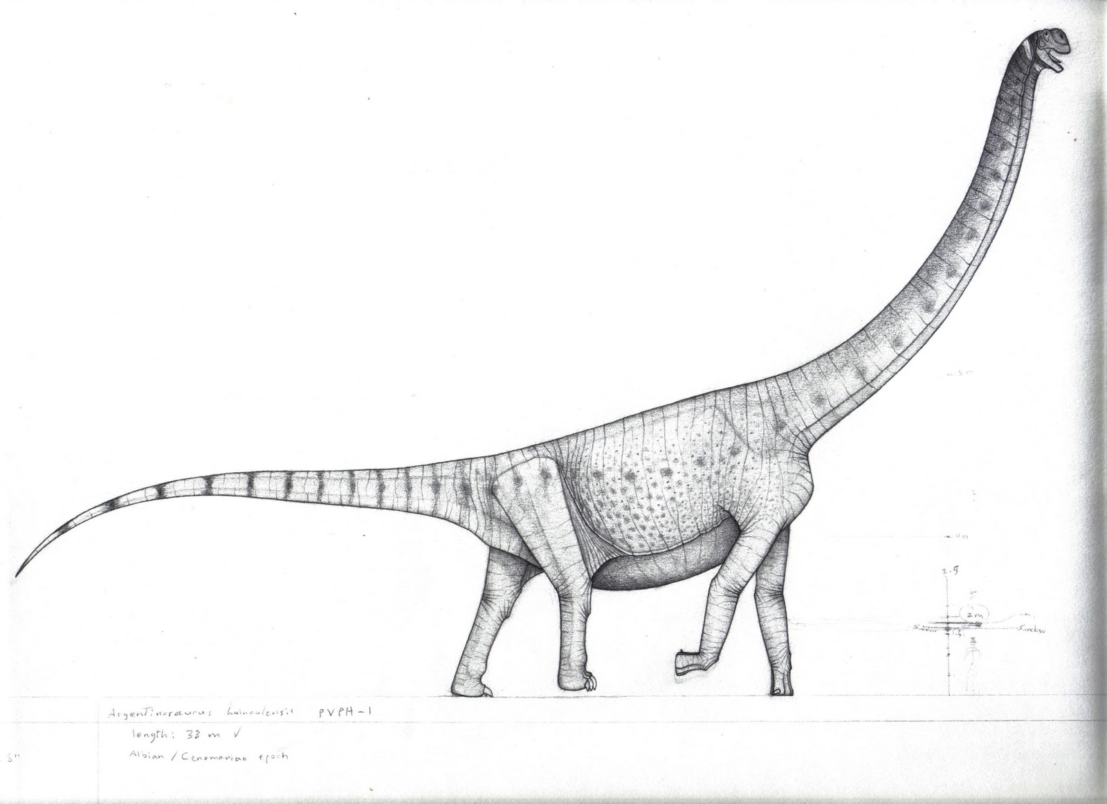 Травоядные Аргентинозавр
