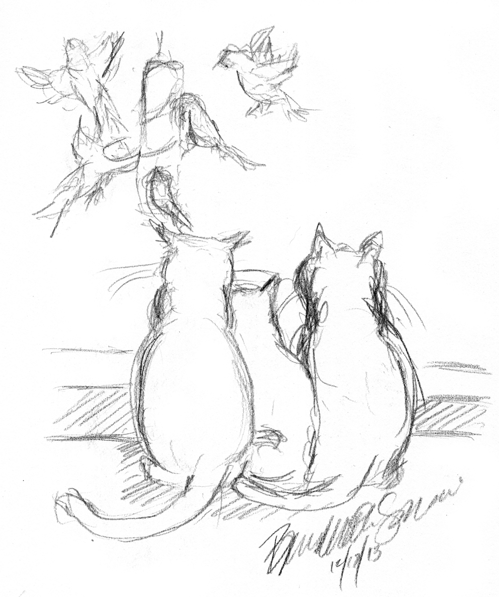 Зарисовки кошек карандашом