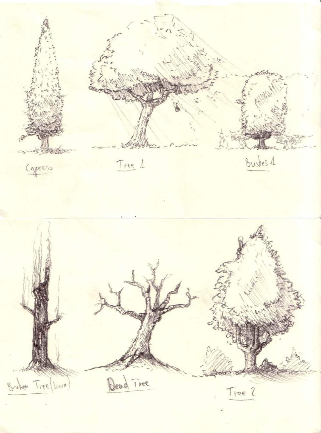Кусты и деревья карандашом
