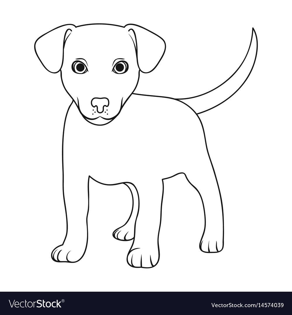 Раскраска щенок лабрадор щенки