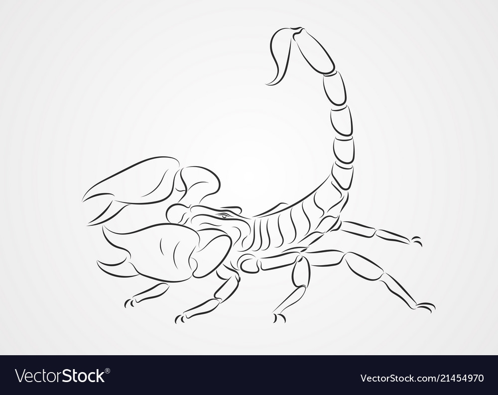 Скорпион линиями графический