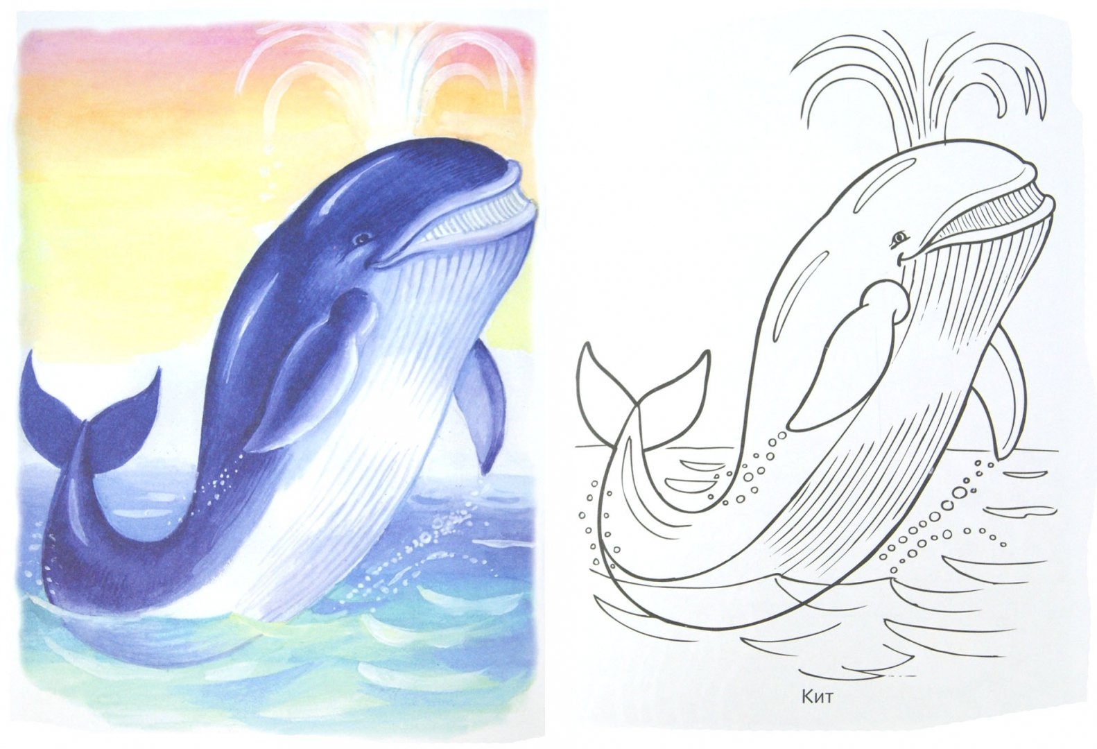 Обитатели морей и океанов рисование для детей