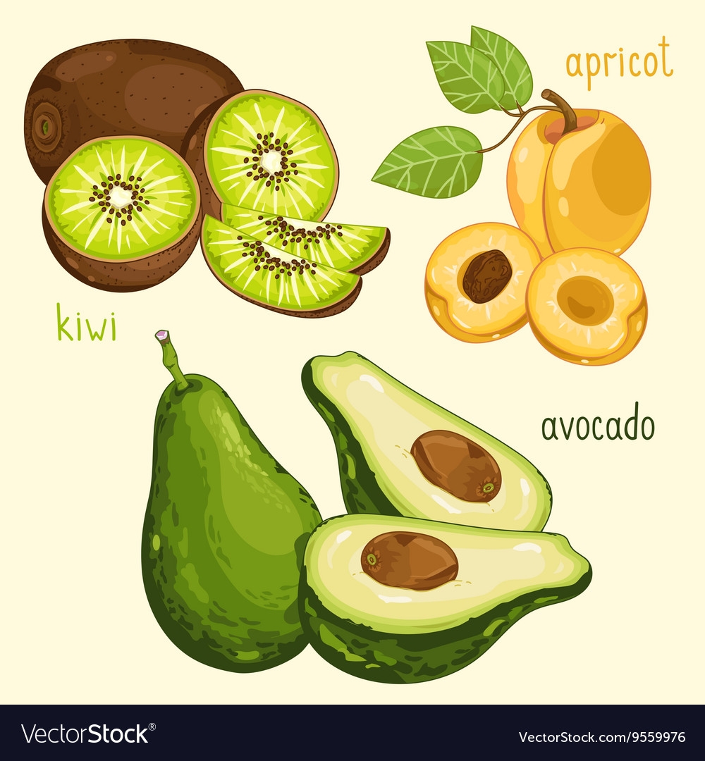 Фрукты для срисовки киви и авокадо