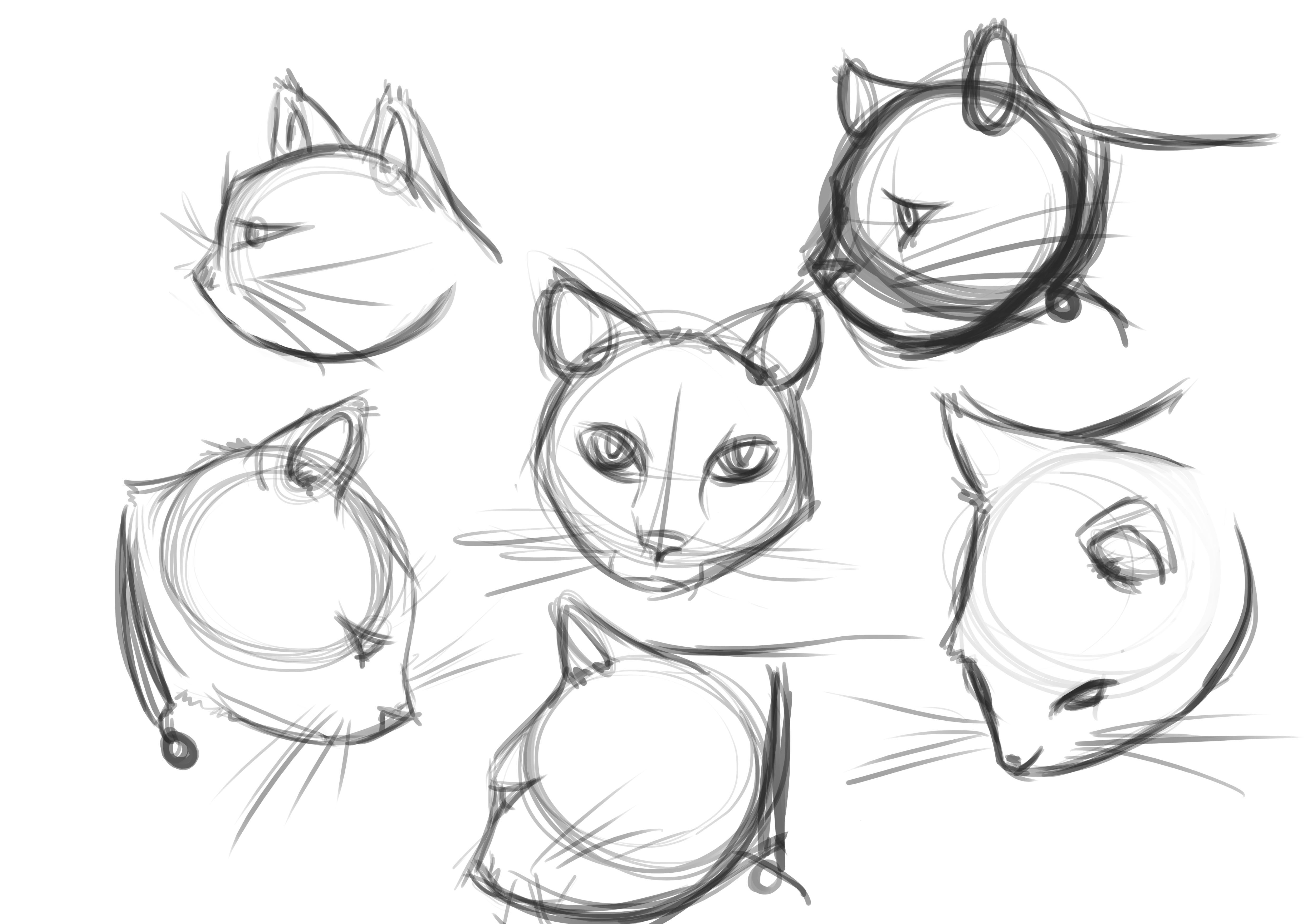 Морды котов для рисования
