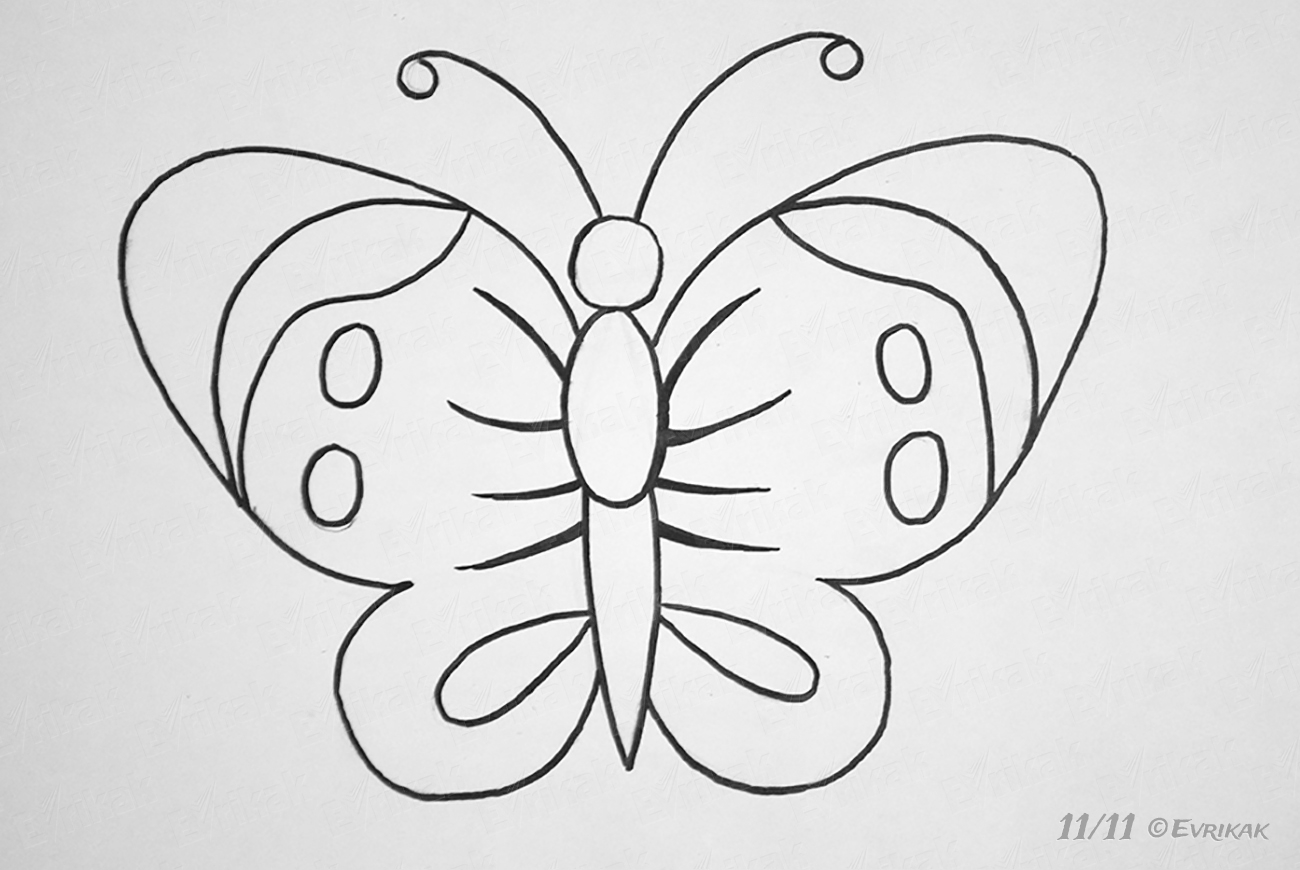 Красивые бабочки для срисовки