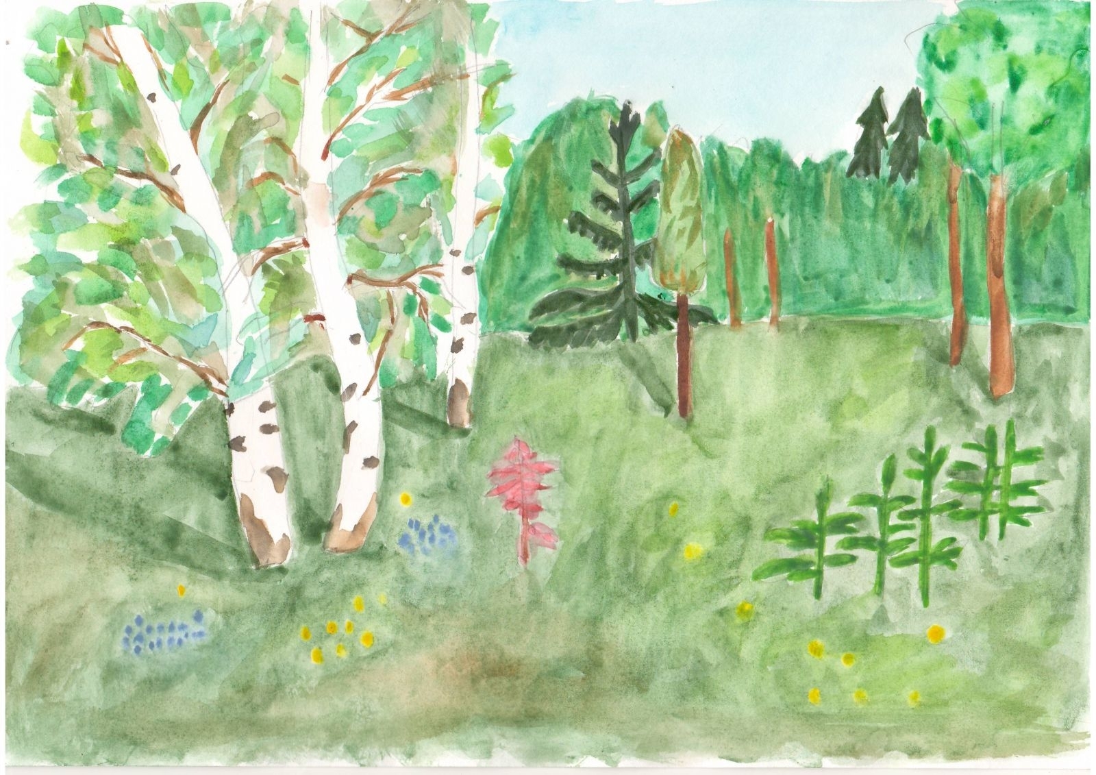 Детский рисунок леса