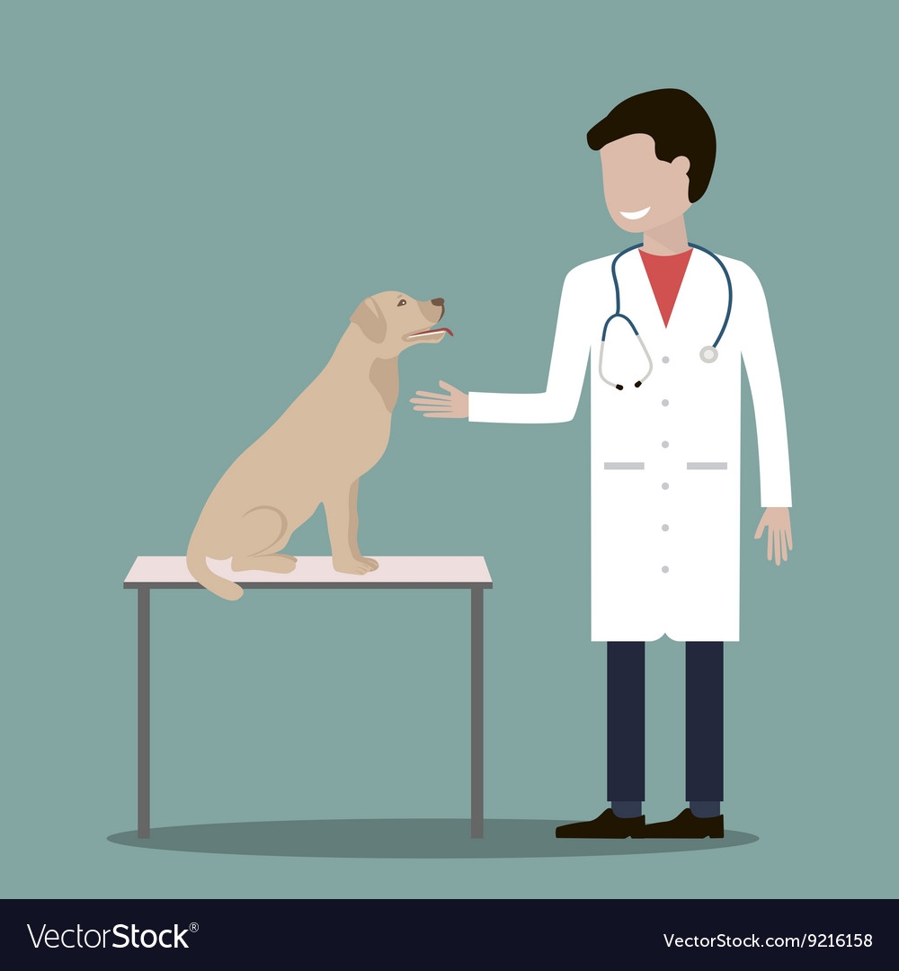Охрана труда ветеринара