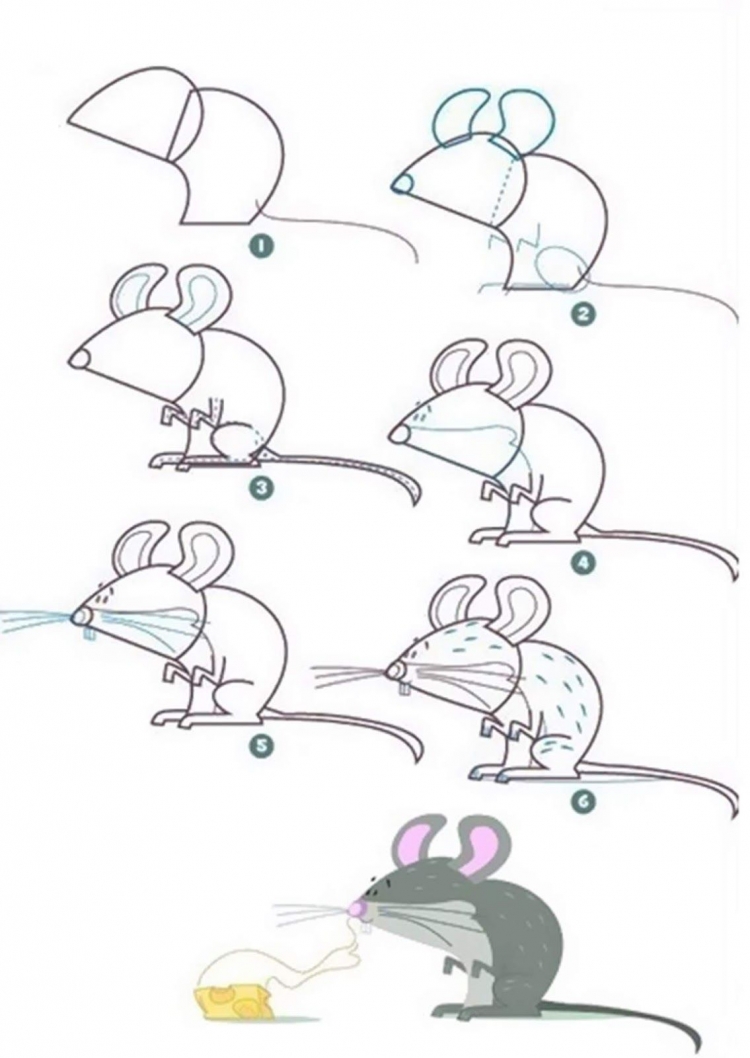 Пошаговое рисование мышонка