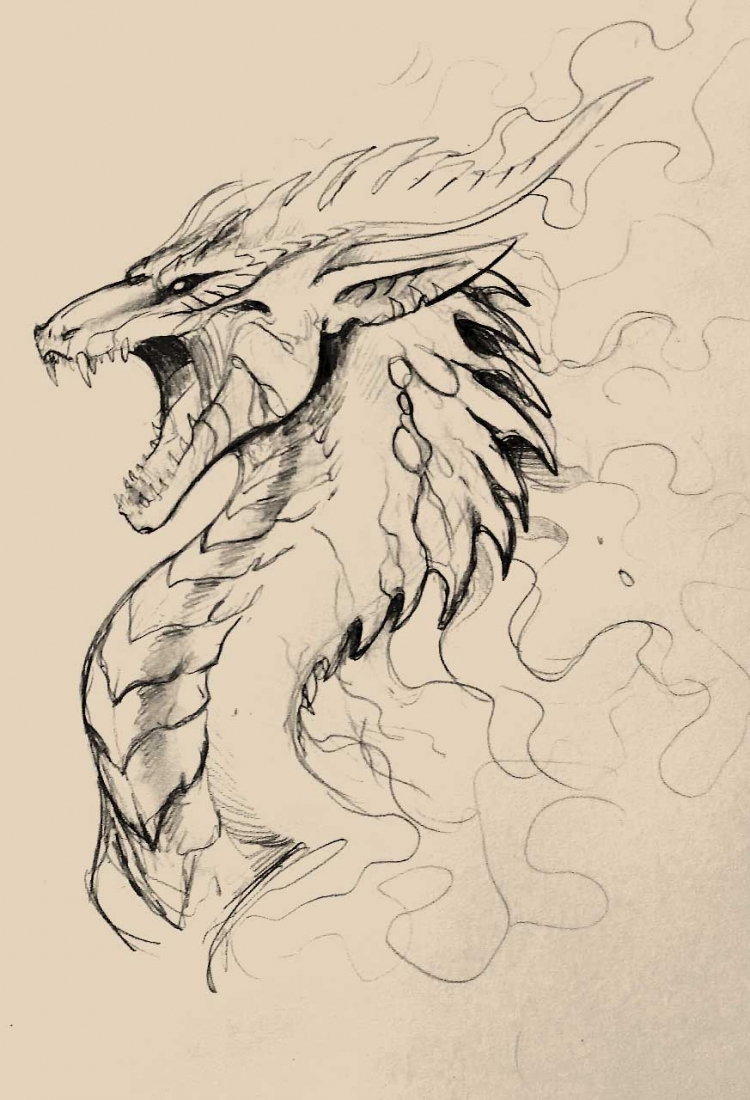 Рисунки карандашом драконы красивые