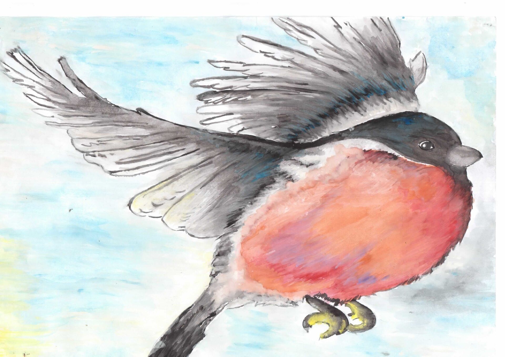 Рисунок птицы животный мир Бурятии