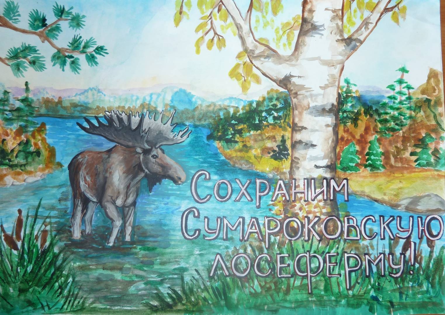 Плакат на тему мир заповедной природы