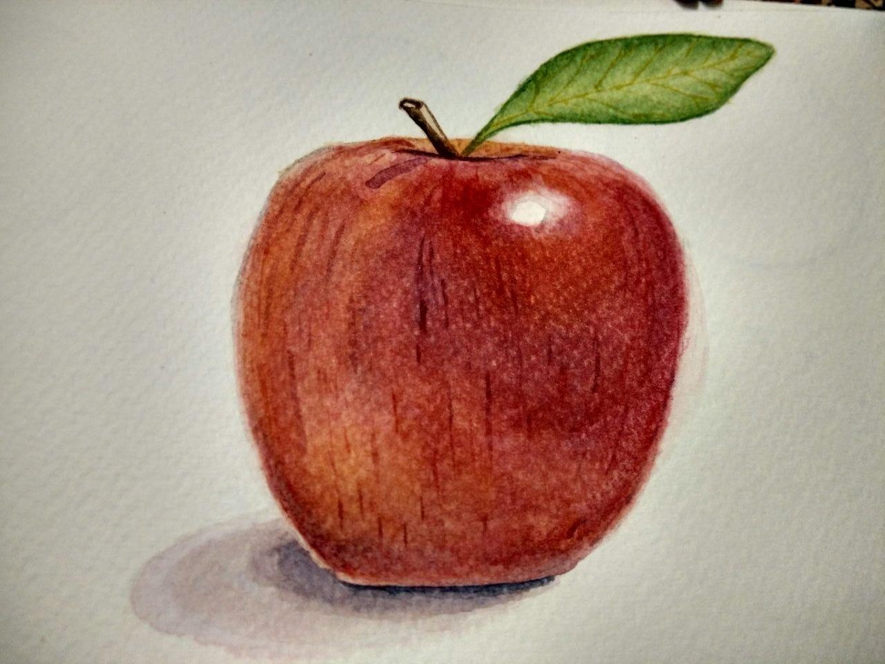 Фото нарисованного яблока