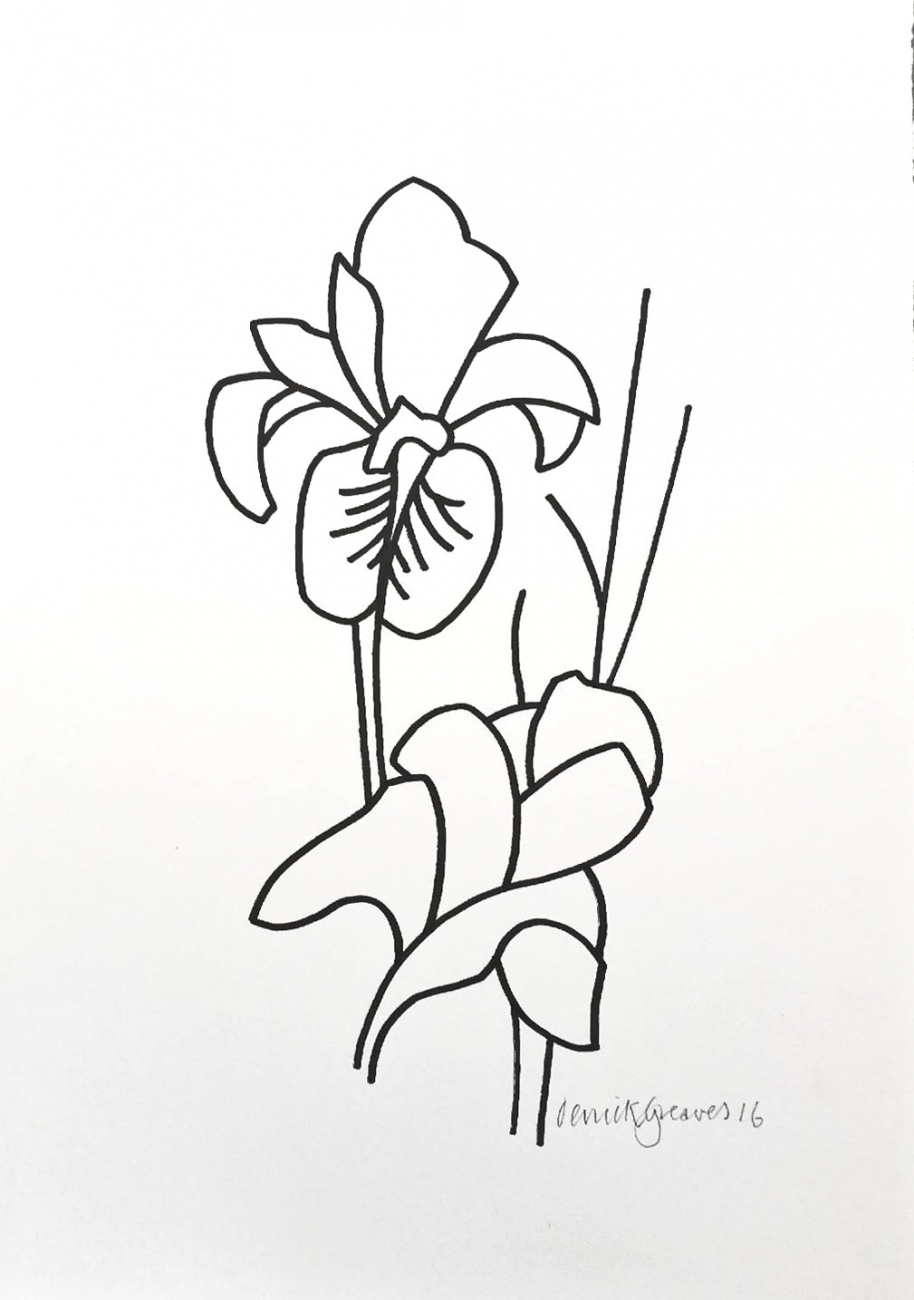 Ирис цветок рисунок карандашом для детей
